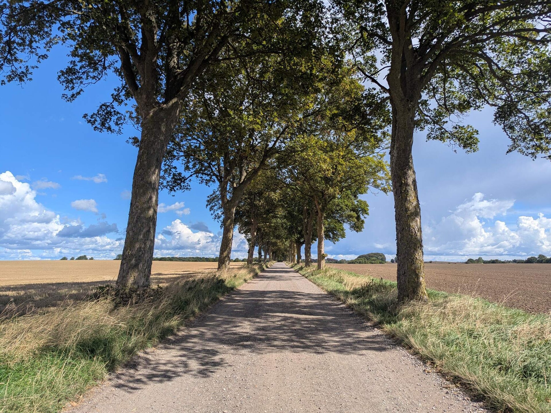 Licht vakantiehuis vlakbij Oostzee voor 4 personen in Præstø - foto 7