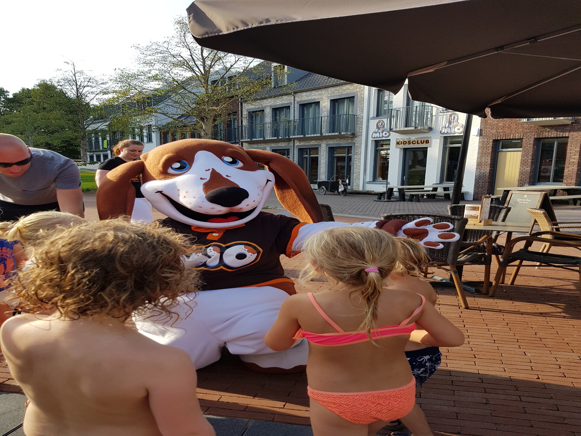 Wellnessvilla met privéhottub en sauna in hartje Limburg - foto 36