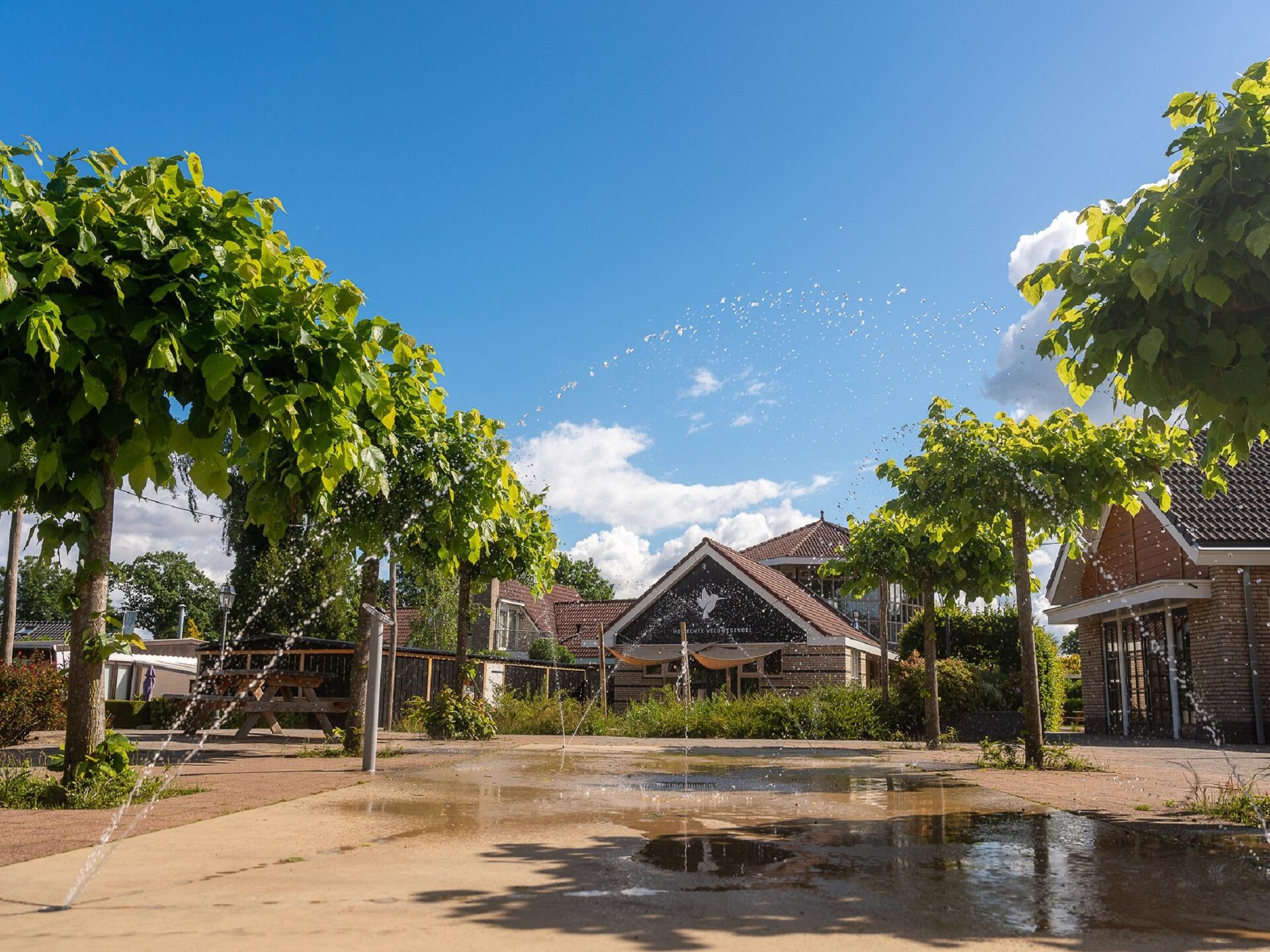 Luxe groepsvilla voor 24 personen aan het water op de Veluwe - foto 13