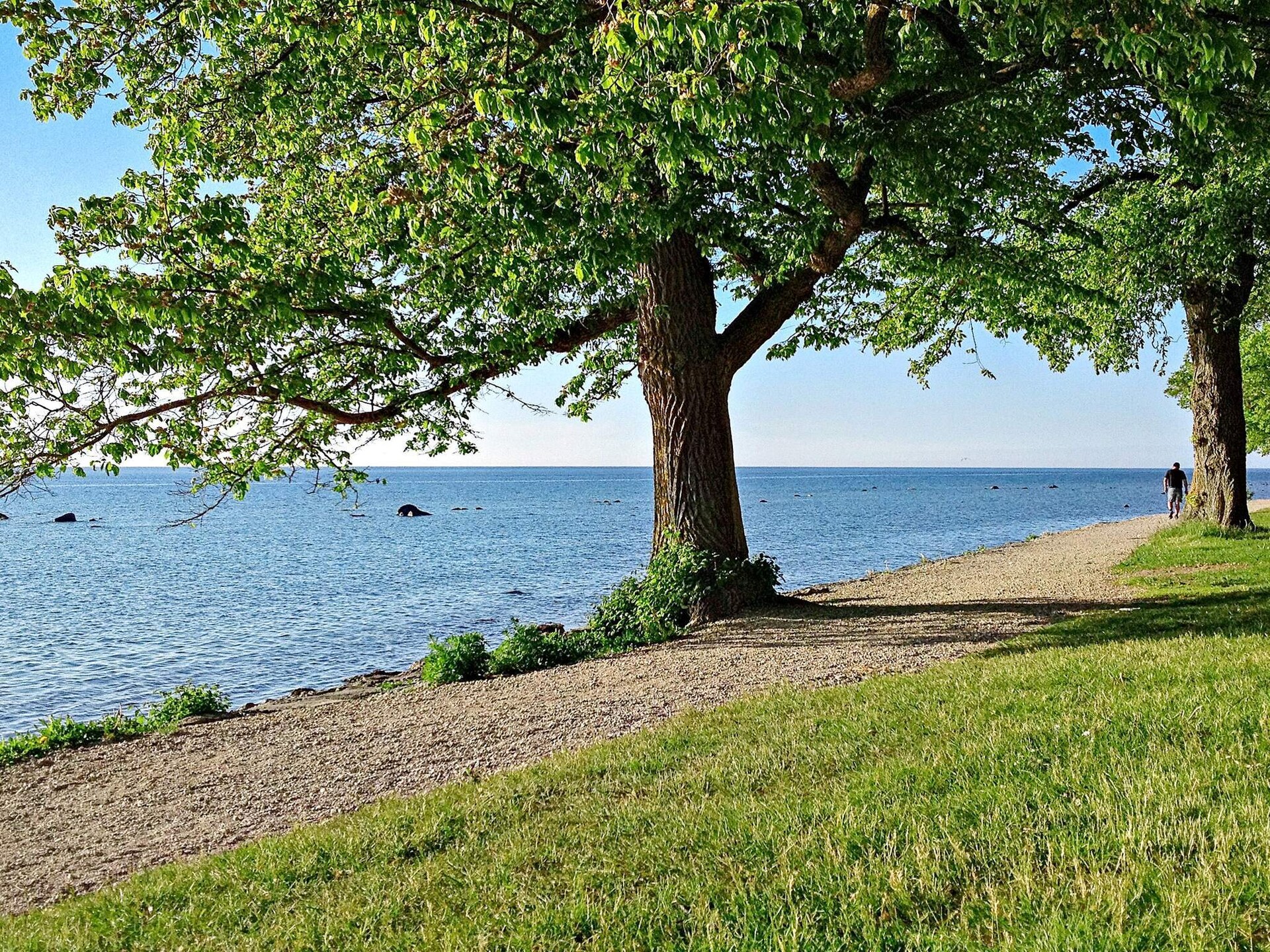 4-persoons vakantiehuis nabij de zee in Gotlands Tofta - foto 19