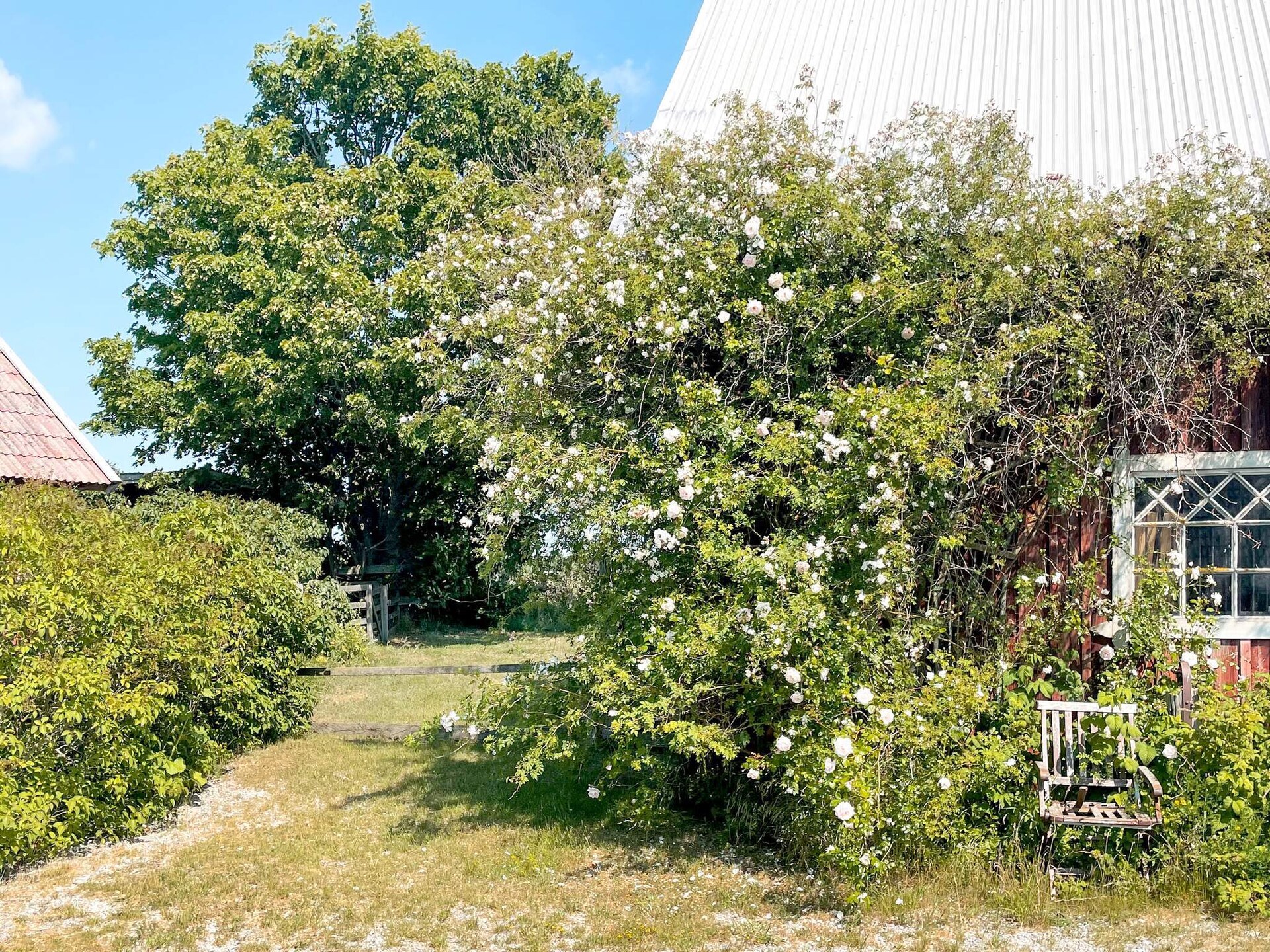 4-persoons vakantiehuis nabij de zee in Gotlands Tofta - foto 7