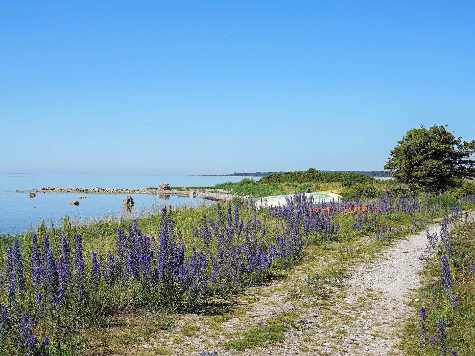 Ruim vakantiehuis voor 8 bij Tofta, vlakbij zee en golfbaan - foto 11