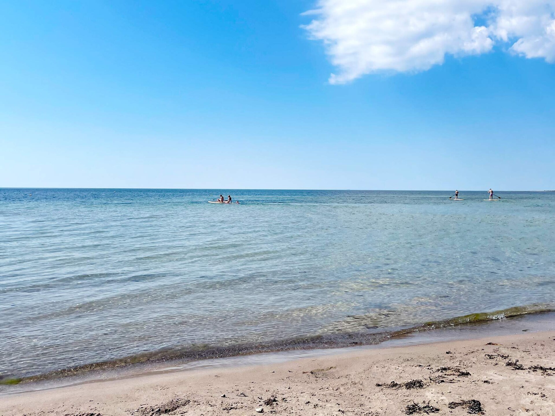 Ruim vakantiehuis voor 8 bij Tofta, vlakbij zee en golfbaan - foto 12