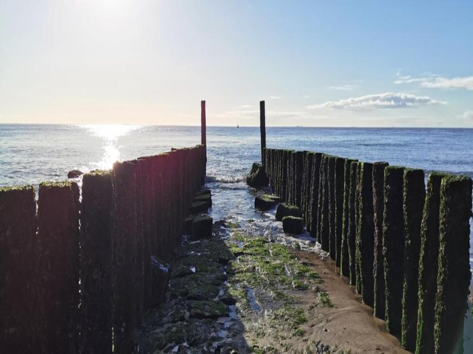 Vrijstaand vakantiehuis met omheinde tuin in Breskens, 1 km van het strand - foto 37