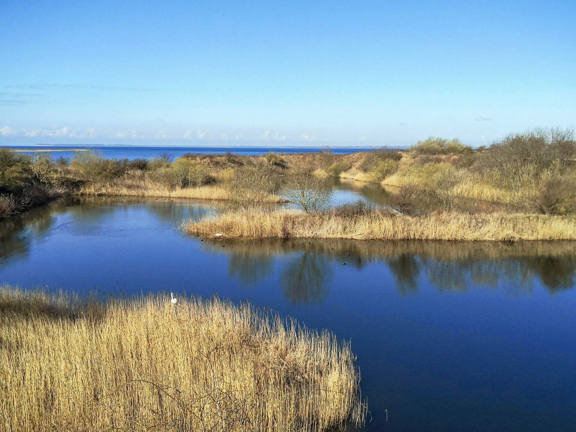 4-persoons vakantiehuis aan zee in Assens - foto 13