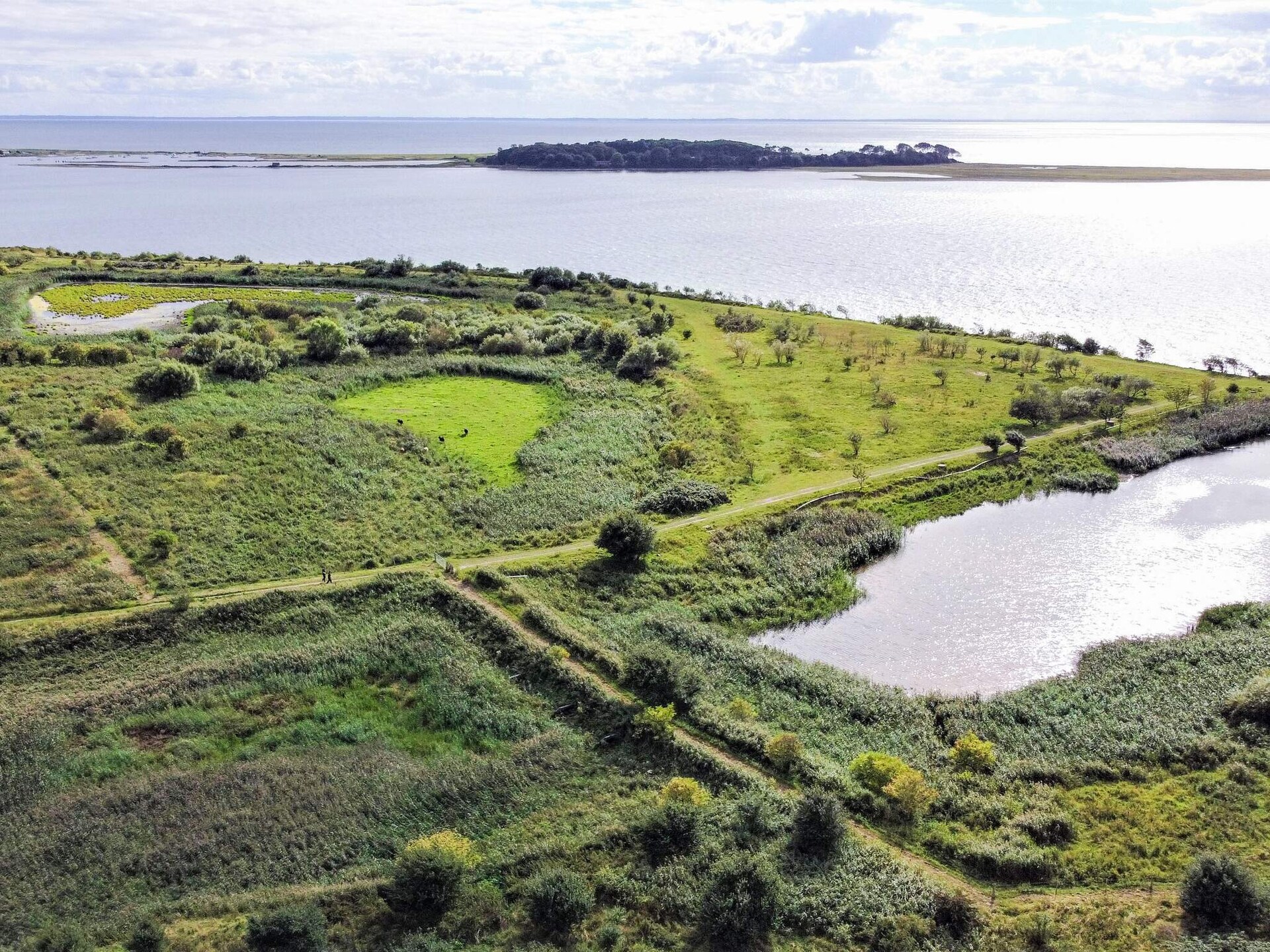 4-persoons vakantiehuis aan zee in Assens - foto 15
