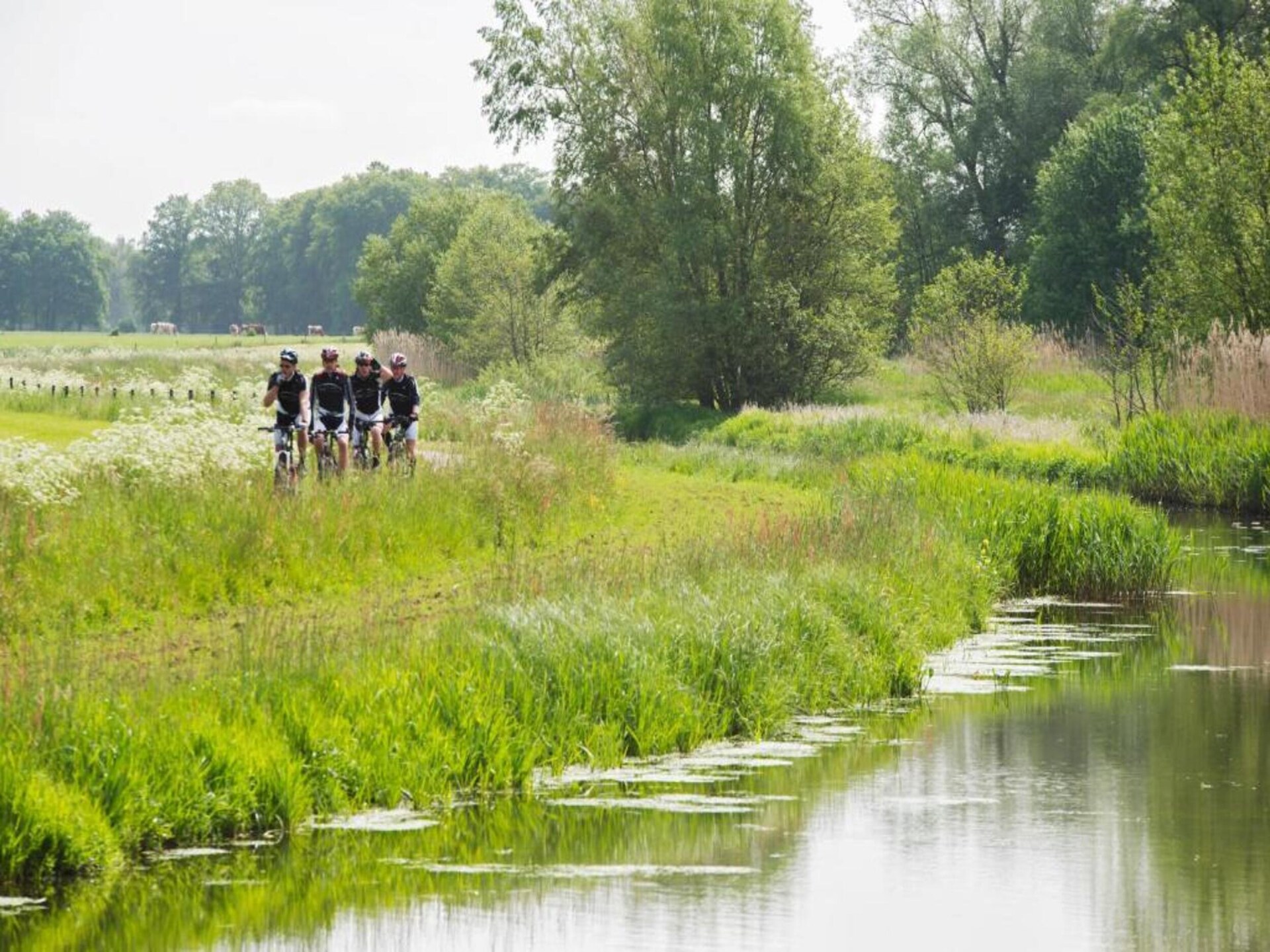 Stijlvol chalet aan het water op Vakantiepark De Lochemse Berg - foto 18