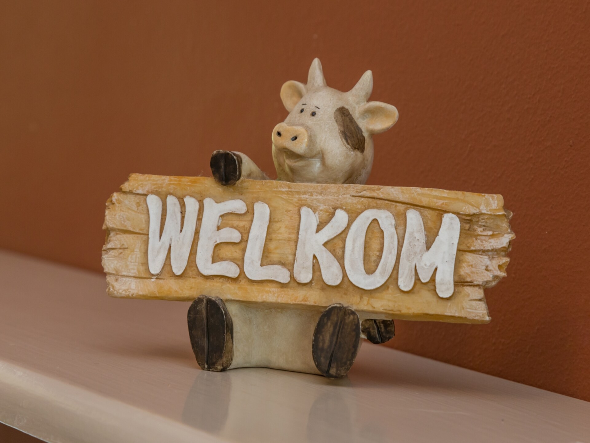 Gezellig appartement op begane grond, 500m van het strand in Vlissingen - foto 16