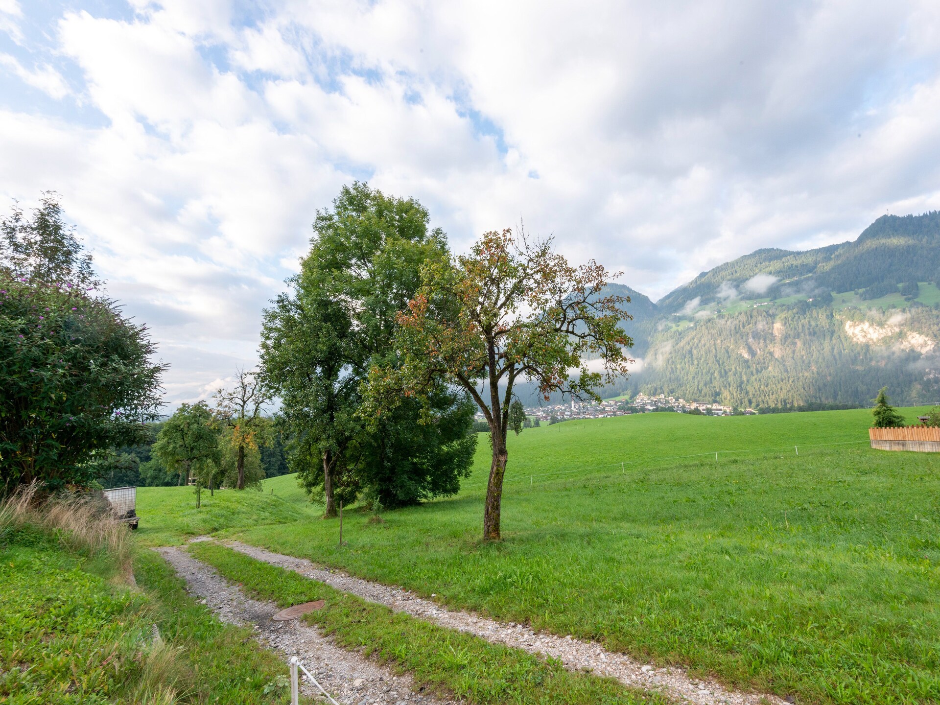 Haus Dengg: Knus appartement in het bos bij Zillertal, 5 km van de piste - foto 27