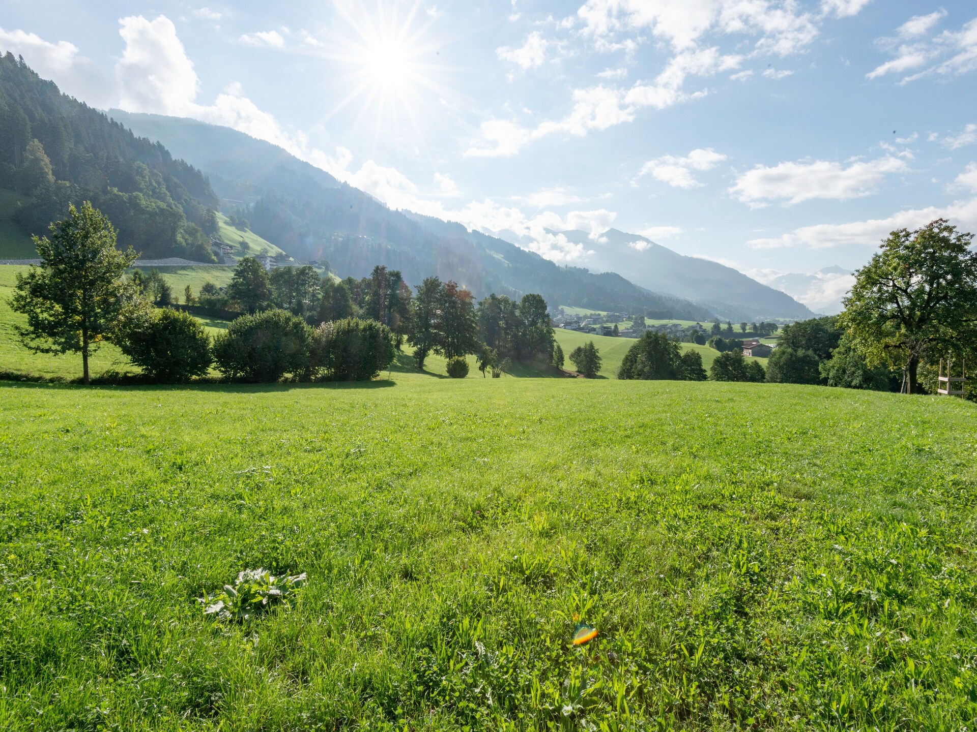 Haus Dengg: Knus appartement in het bos bij Zillertal, 5 km van de piste - foto 29