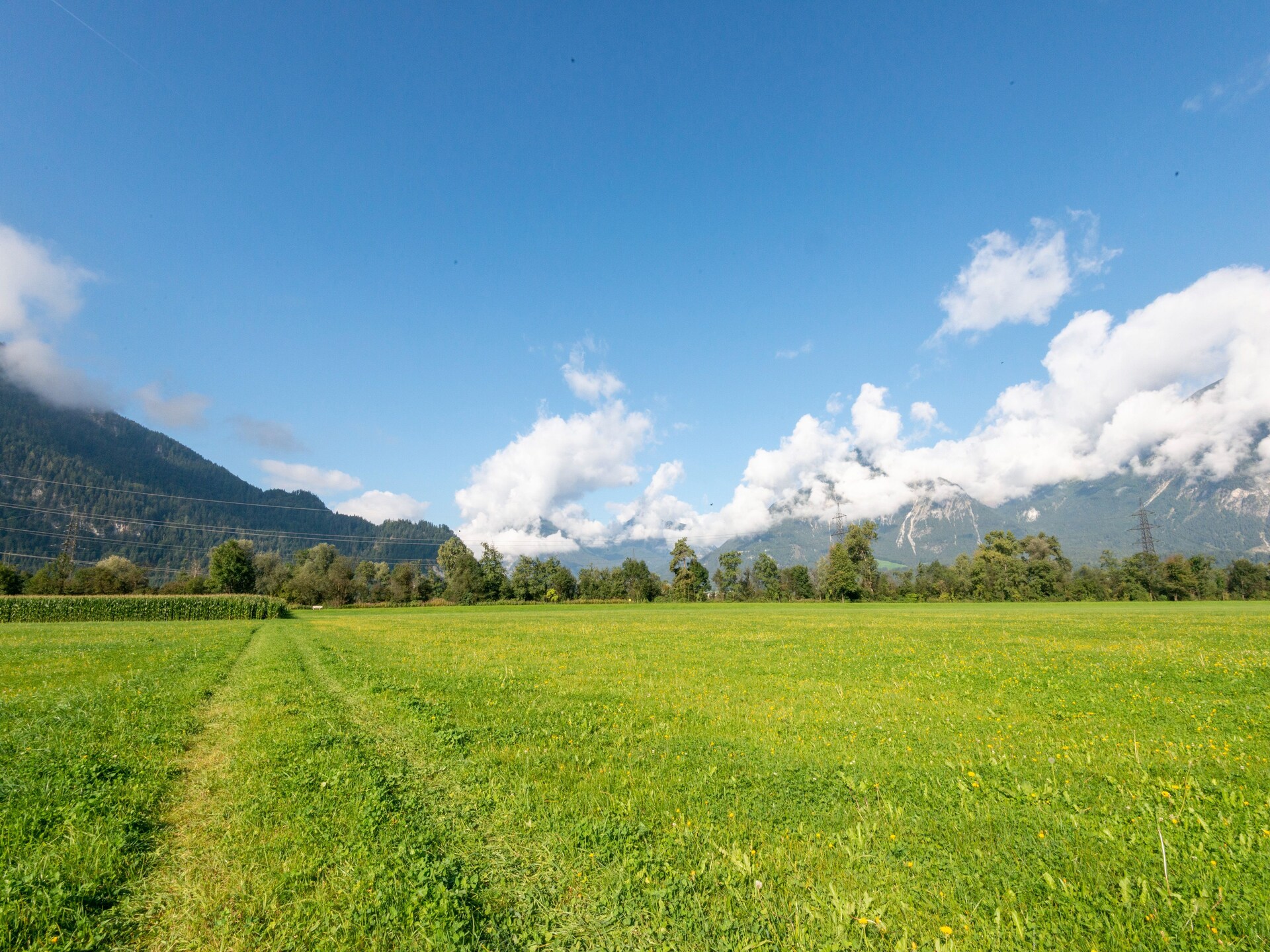 Haus Dengg: Knus appartement in het bos bij Zillertal, 5 km van de piste - foto 31