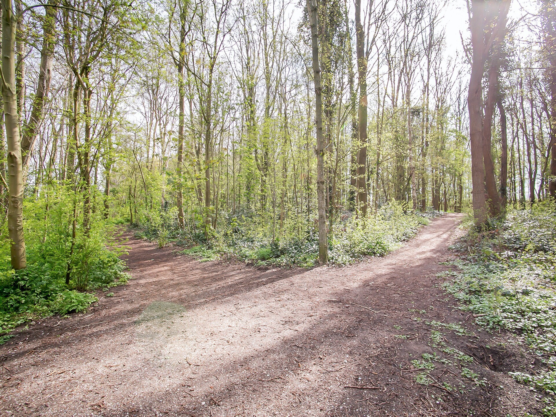 Royal Palm: Vrijstaande bungalow aan meer bij Noordwijk voor 4 pers. - foto 33