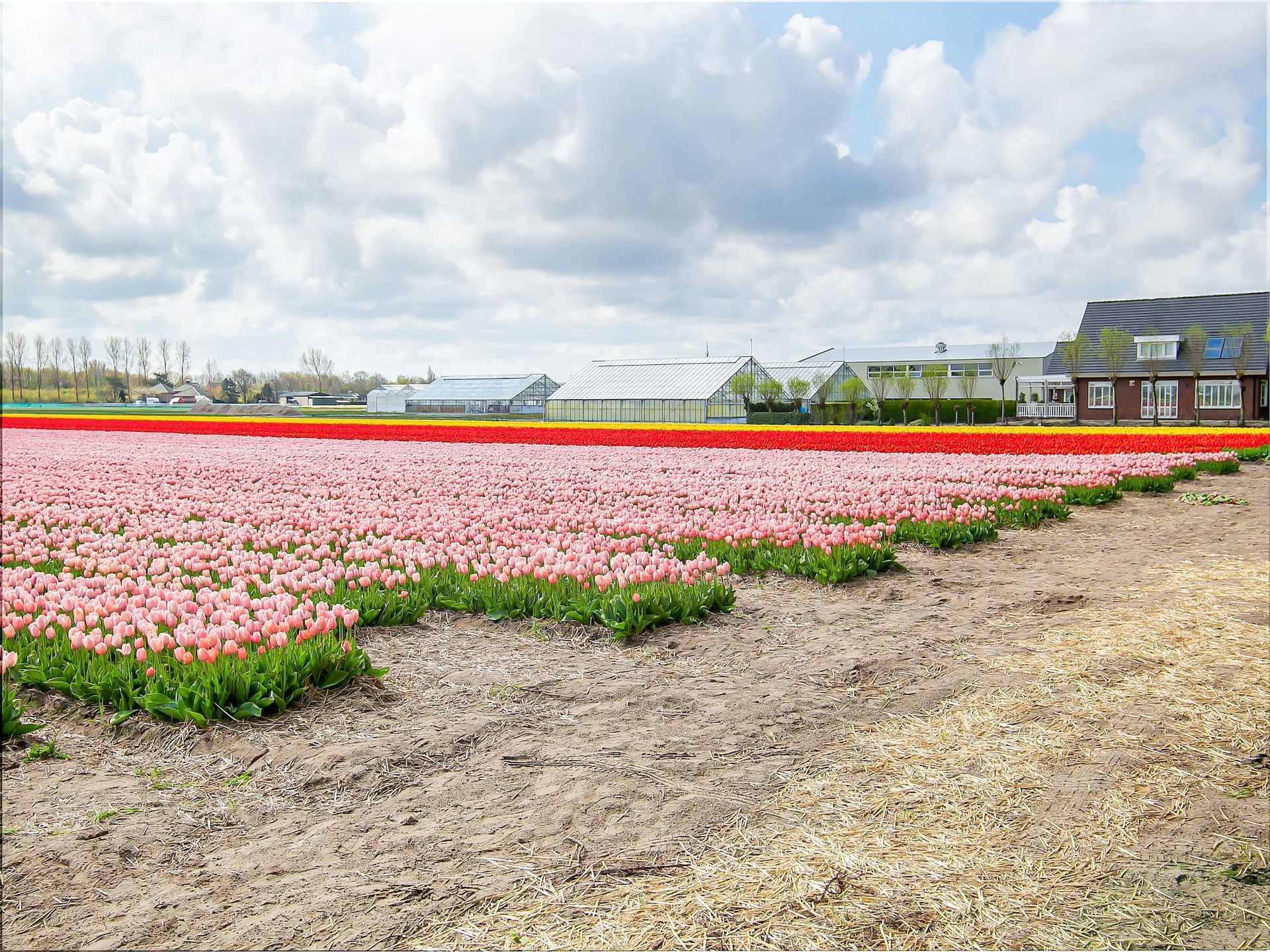 Royal Palm: Vrijstaande bungalow aan meer bij Noordwijk voor 4 pers. - foto 34