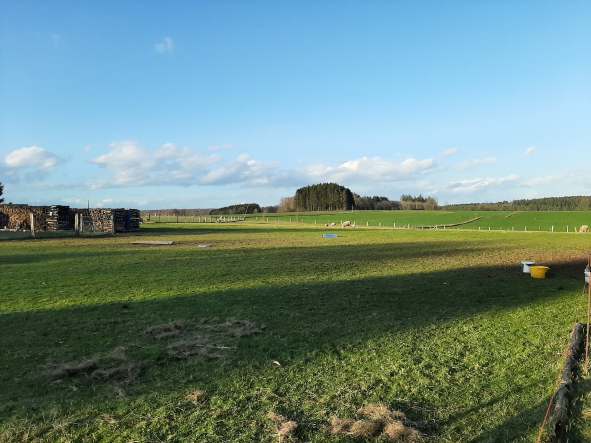 Vrijstaand vakantiehuis voor 5 aan de golfbaan in Porcheresse Daverdisse - foto 30