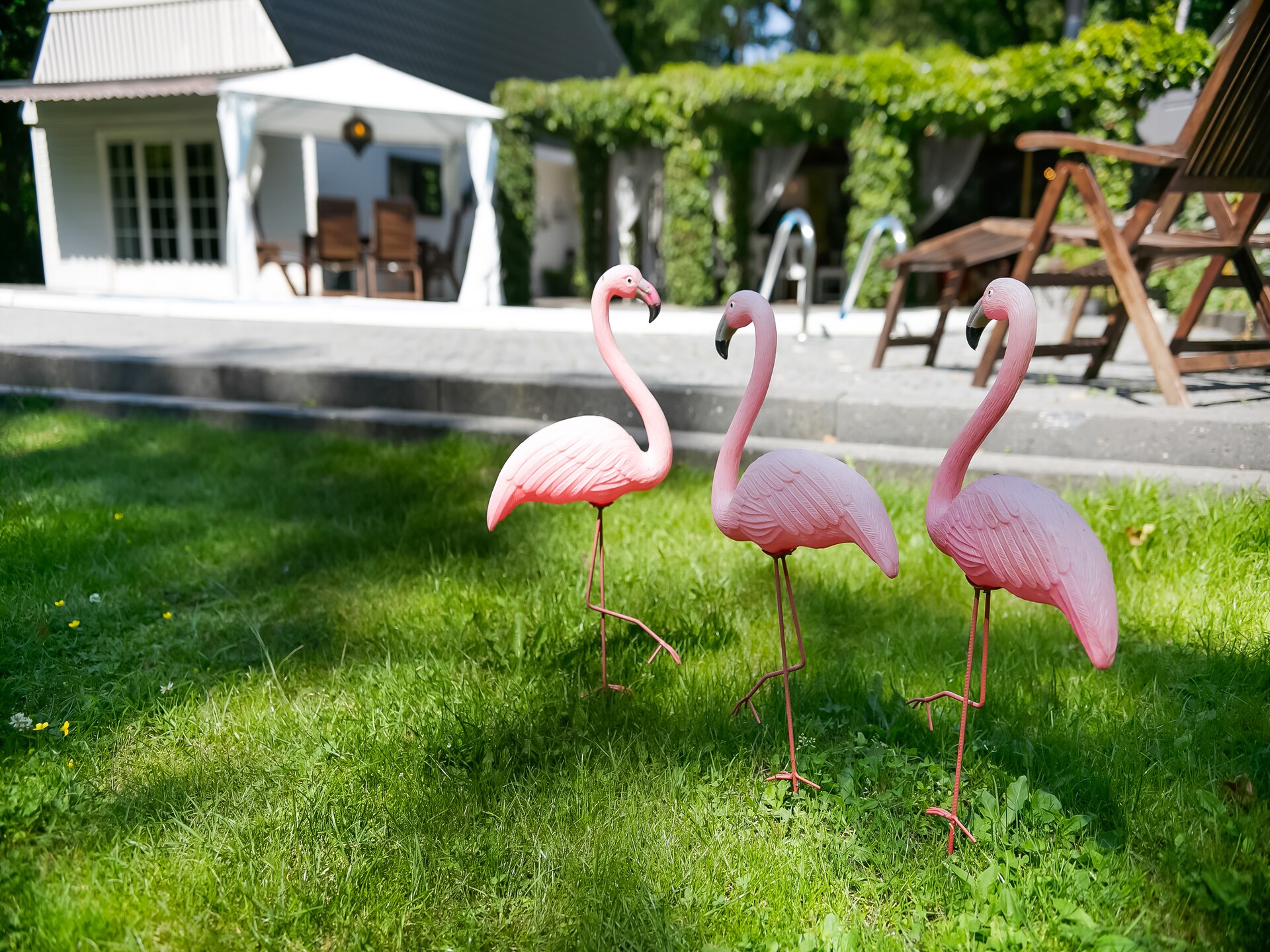 Botterlodge: Luxe villa met verwarmd zwembad in Drents-Friese Woud - foto 35