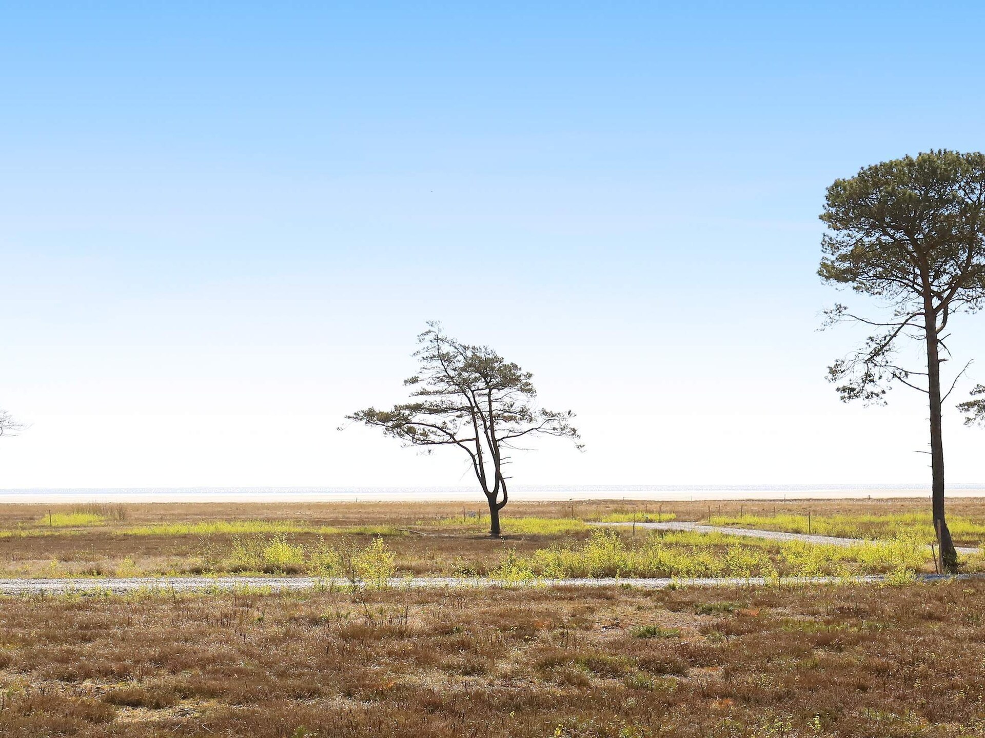 14-persoons vakantiehuis op Læsø op 400 m van de zee - foto 5