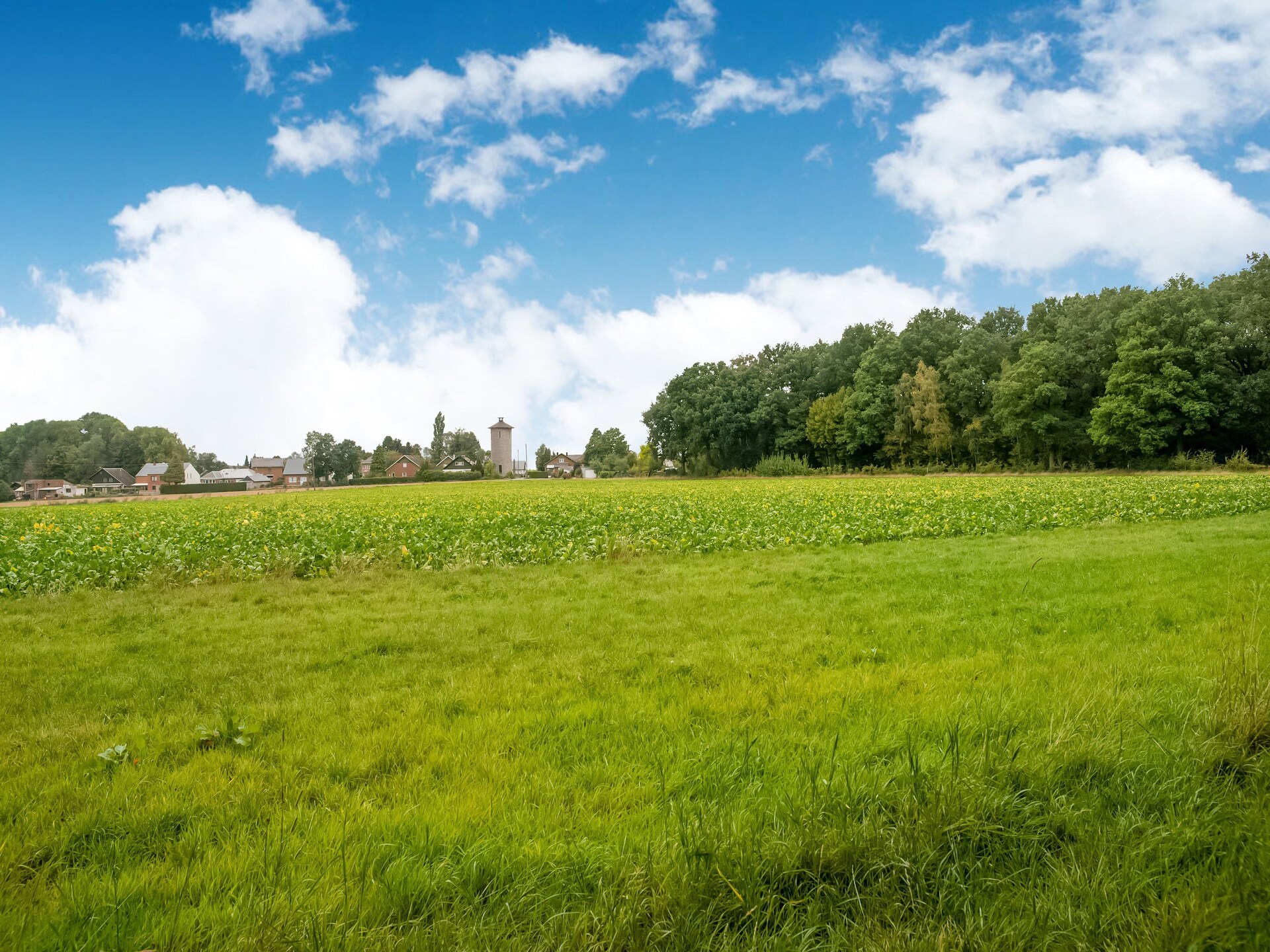 Sereen landhuis aan privévijver bij Florennes - foto 30