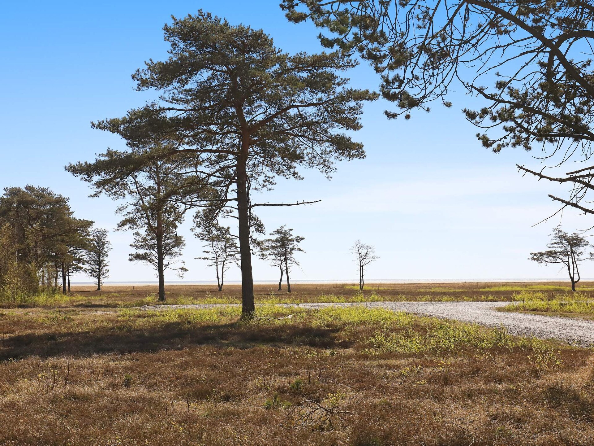 Modern vakantiehuis op Læsø met panoramisch uitzicht op beschermd natuurgebied - foto 6