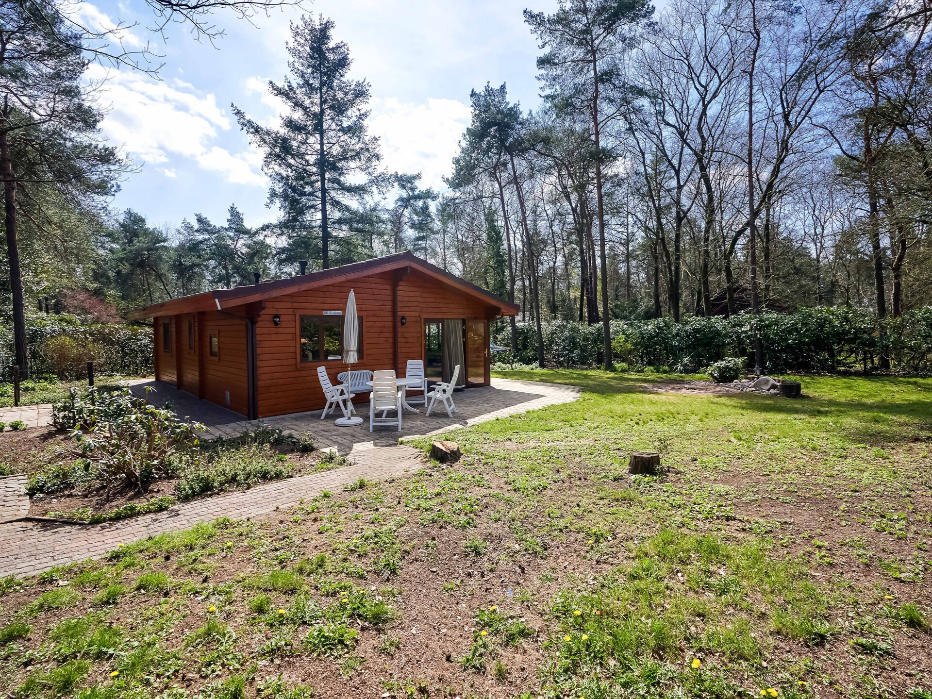 Finse bungalow in bosrijk Holten – rust, natuur en huisdieren welkom - foto 6