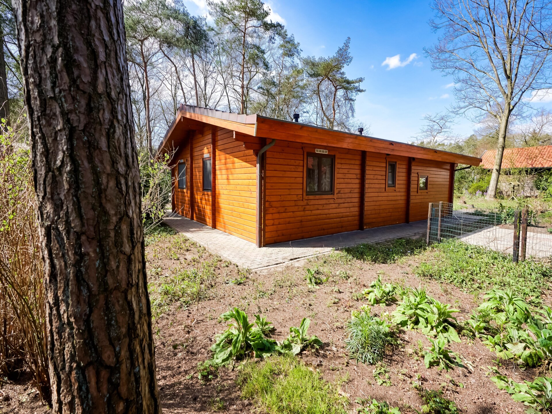 Finse bungalow in bosrijk Holten – rust, natuur en huisdieren welkom - foto 25