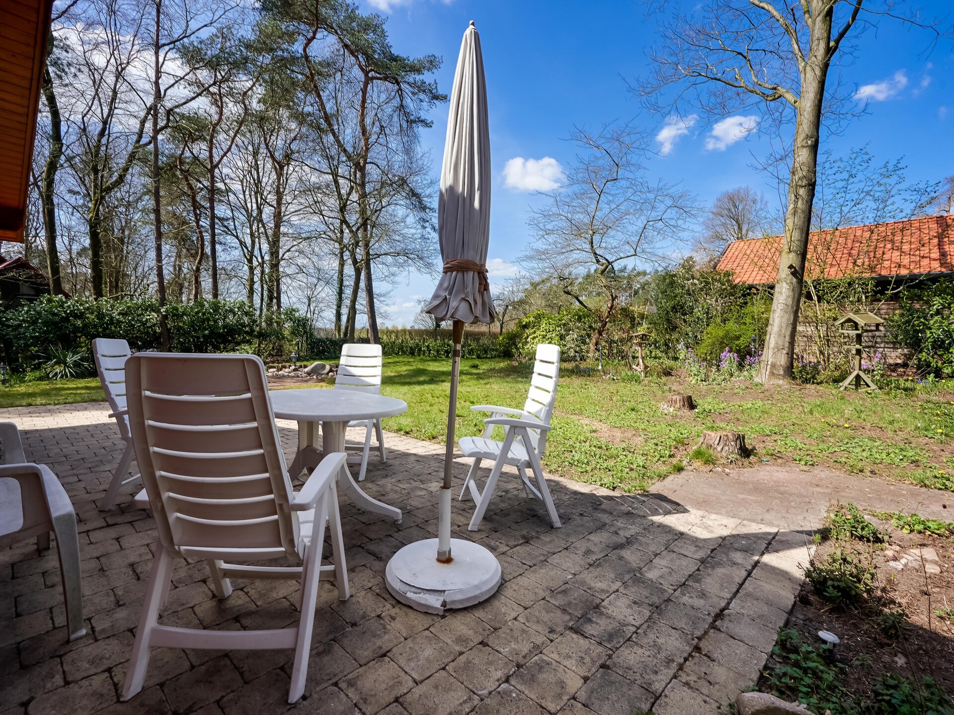 Finse bungalow in bosrijk Holten – rust, natuur en huisdieren welkom - foto 5