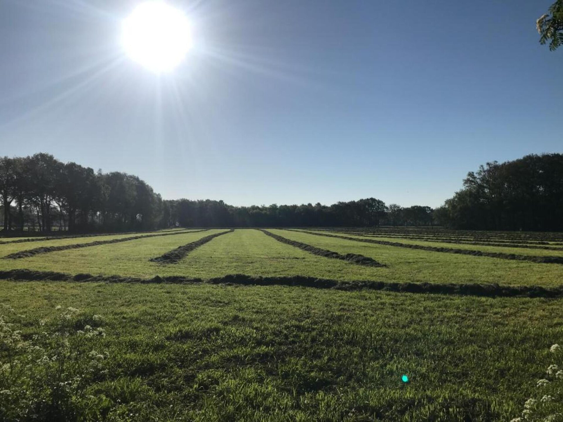 Finse bungalow in bosrijk Holten – rust, natuur en huisdieren welkom - foto 34