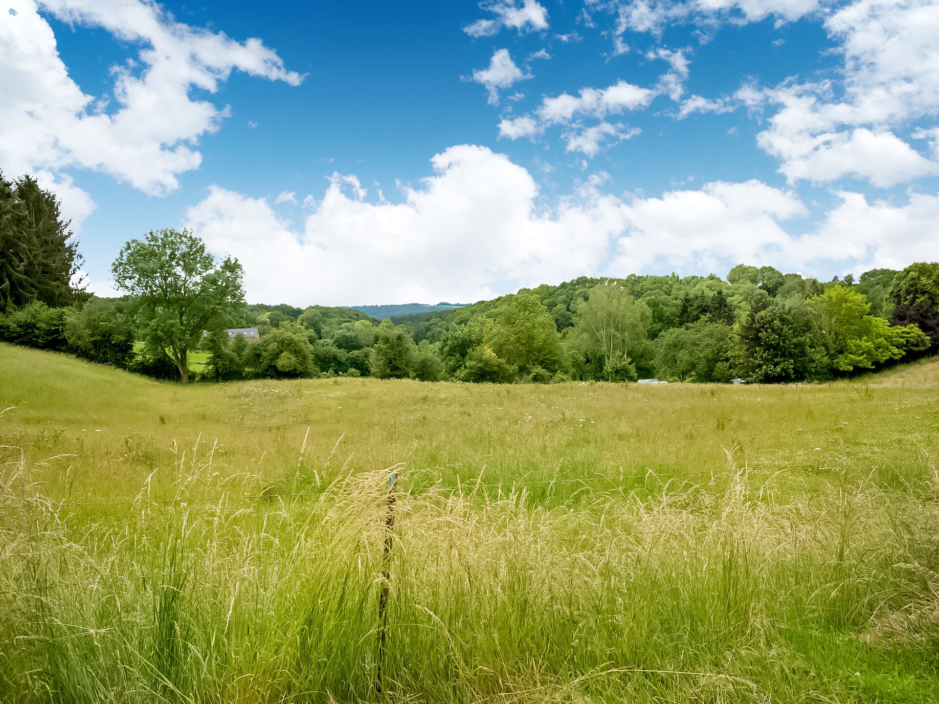 8-persoons villa met privézwembad in Hamoir Filot - foto 32