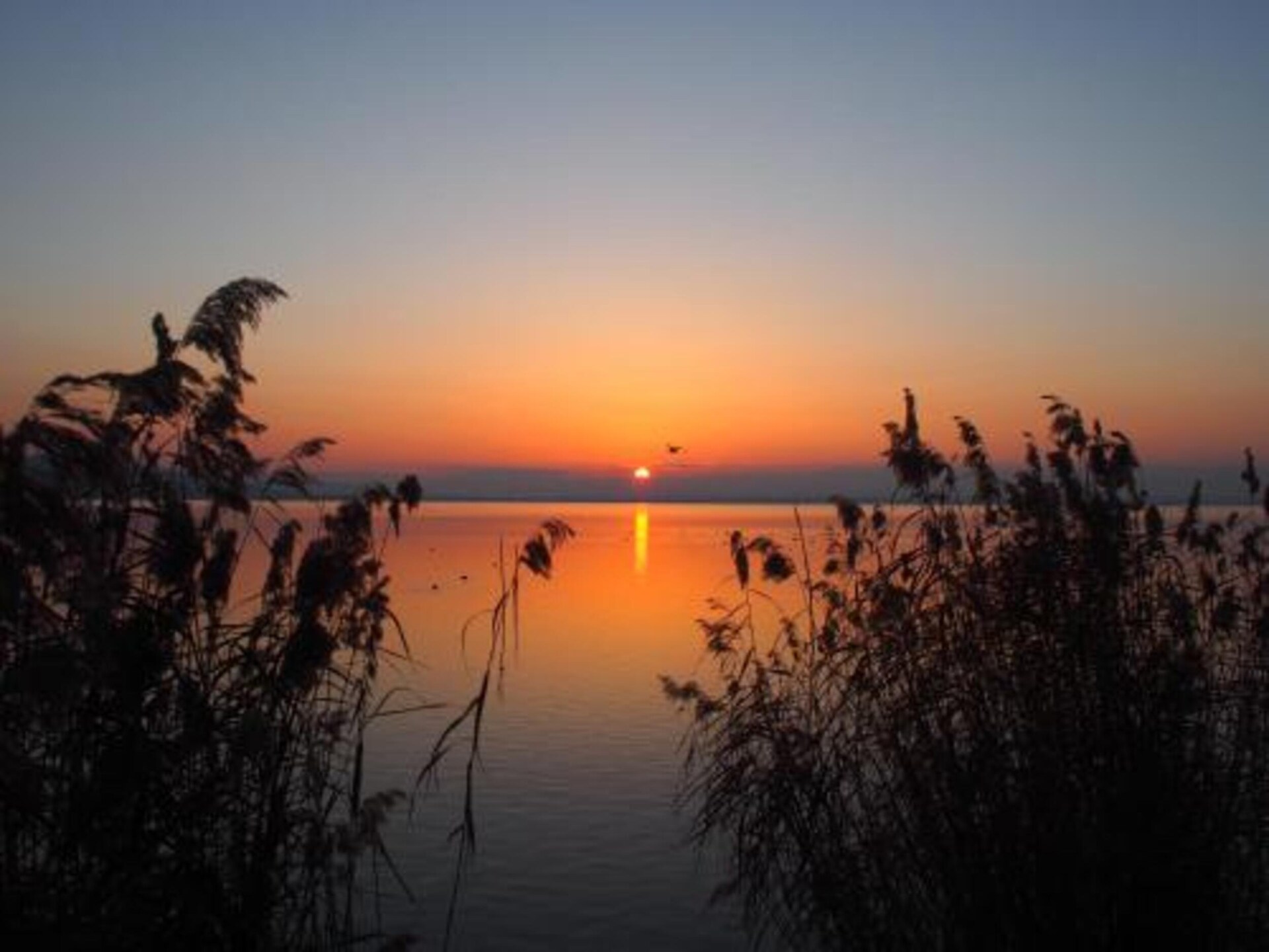 Sfeervol landhuis in Magione nabij het Trasimenomeer - foto 32