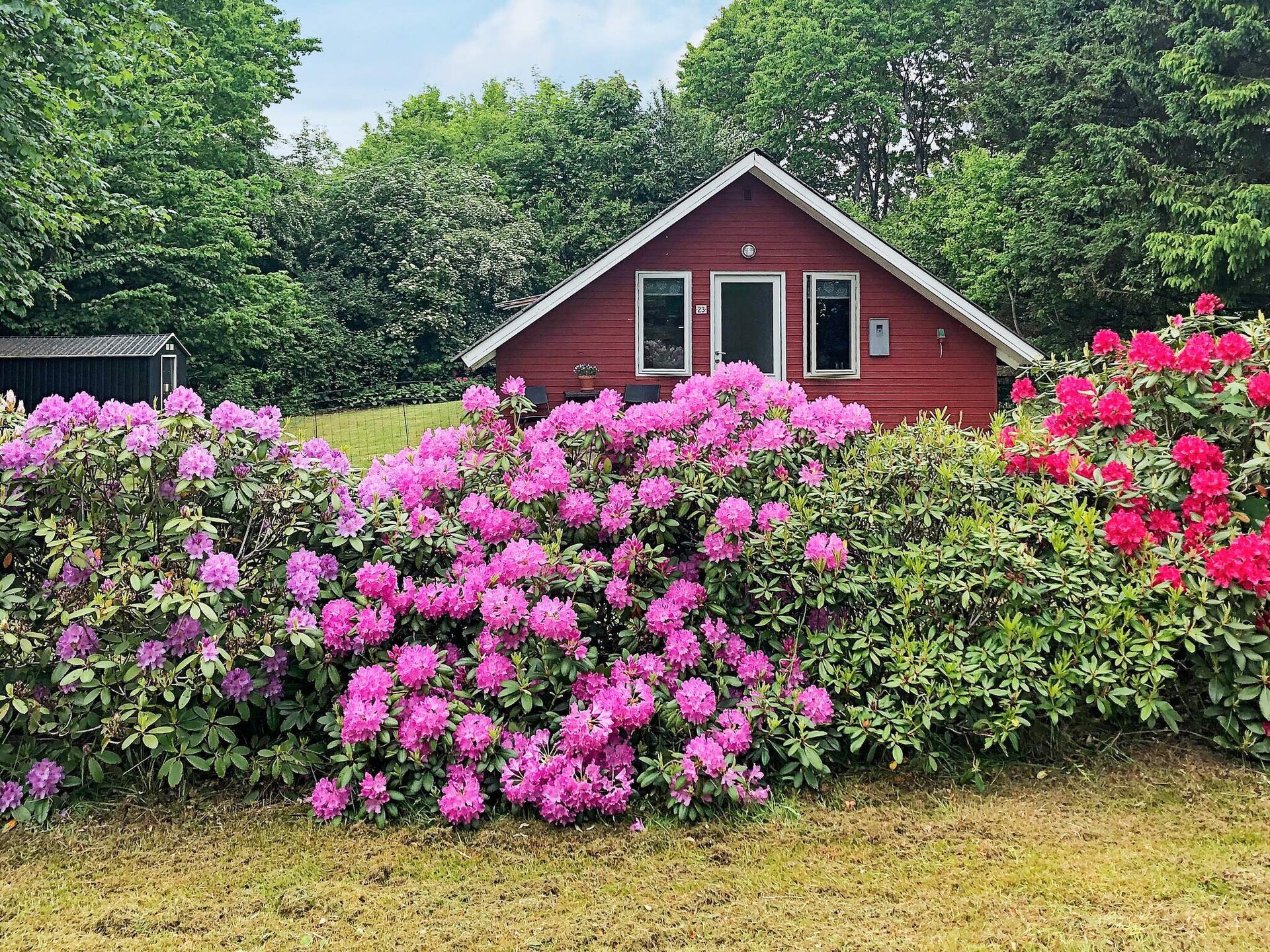 Vrijstaand vakantiehuis bij Arrild Ferieby met zwembad, 16 km van zee - foto 5