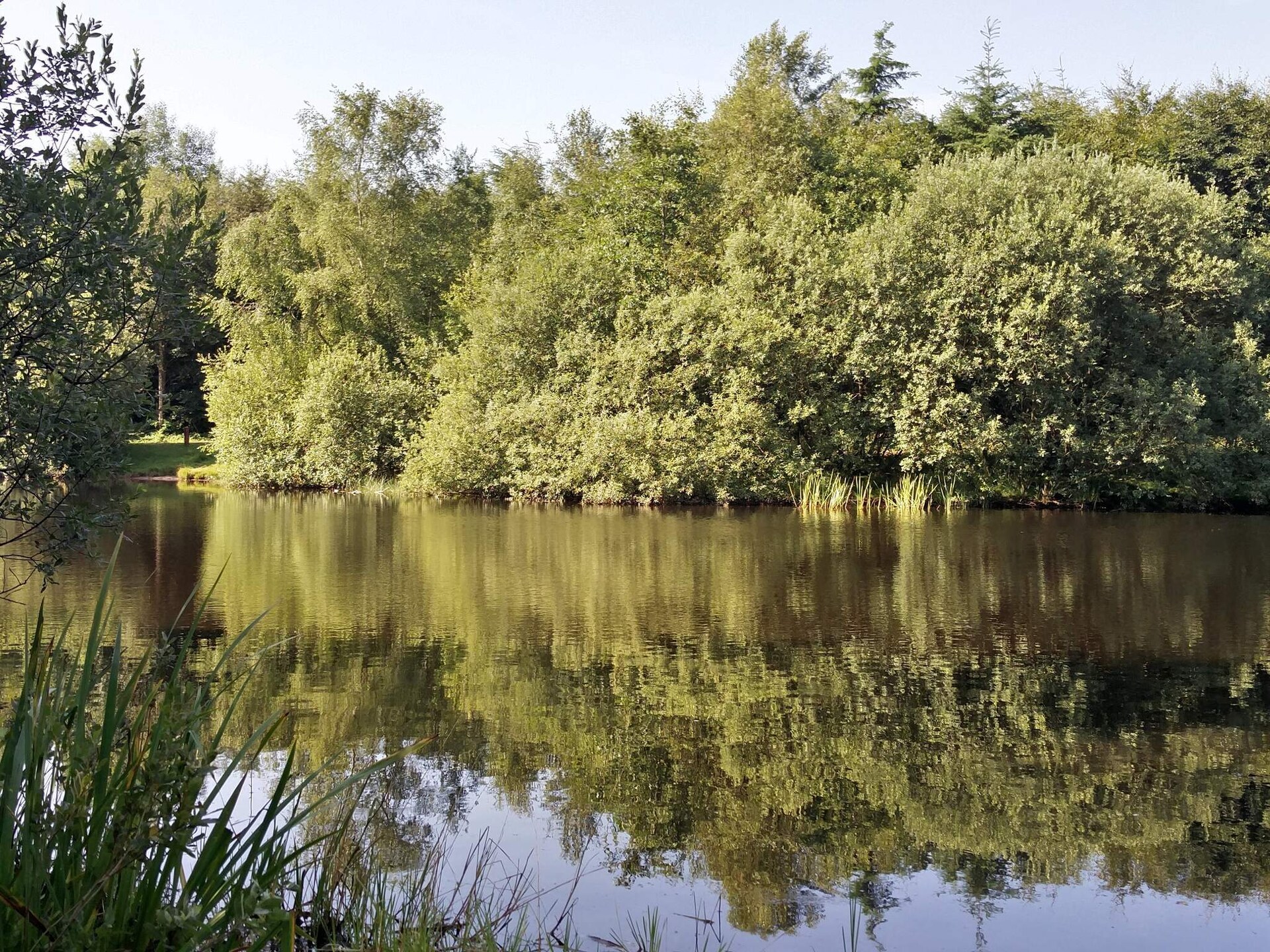 Vrijstaand vakantiehuis bij Arrild Ferieby met zwembad, 16 km van zee - foto 14