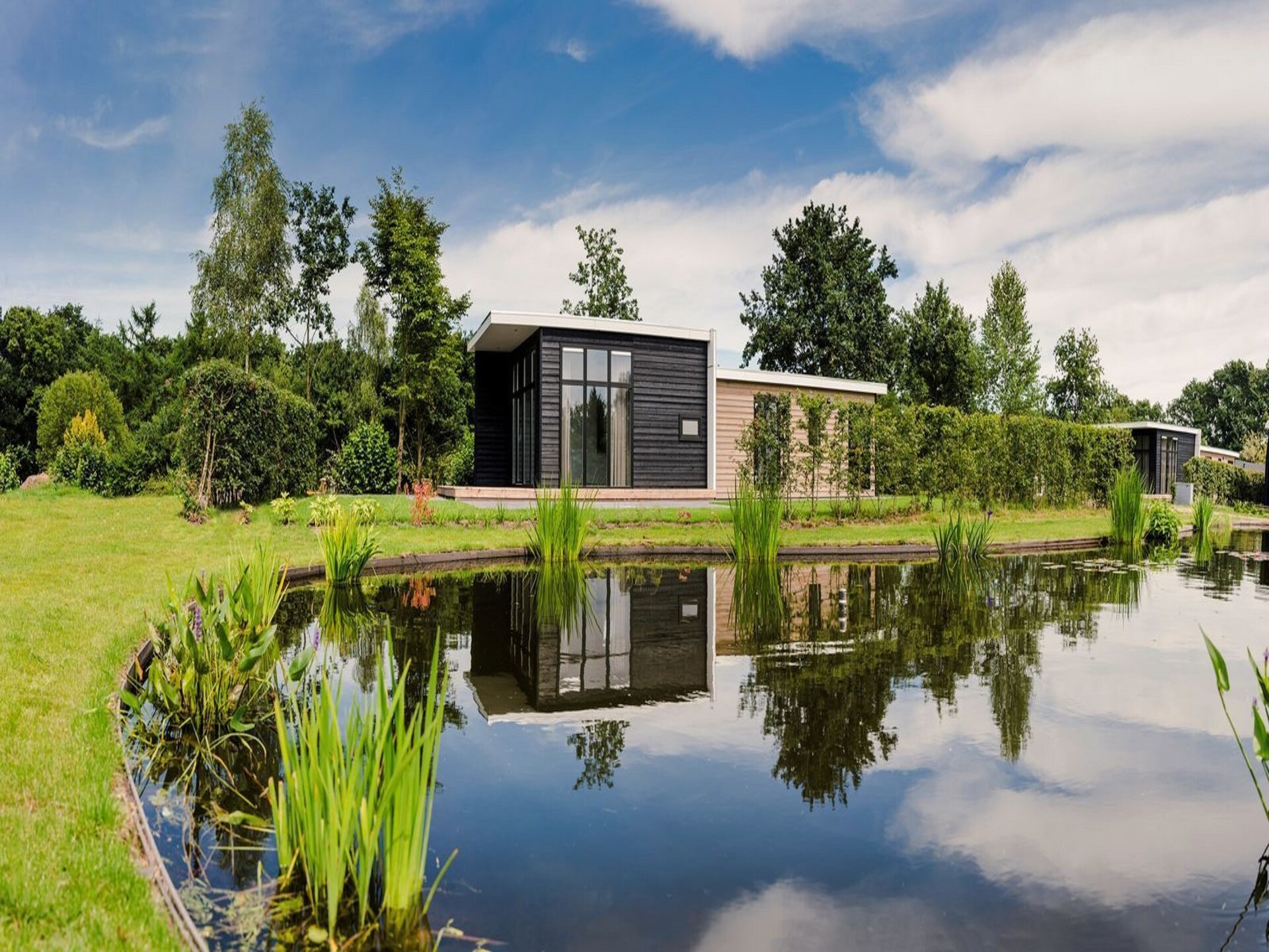 Moderne en sfeervolle bungalow voor 4 personen in Rijssen - foto 6