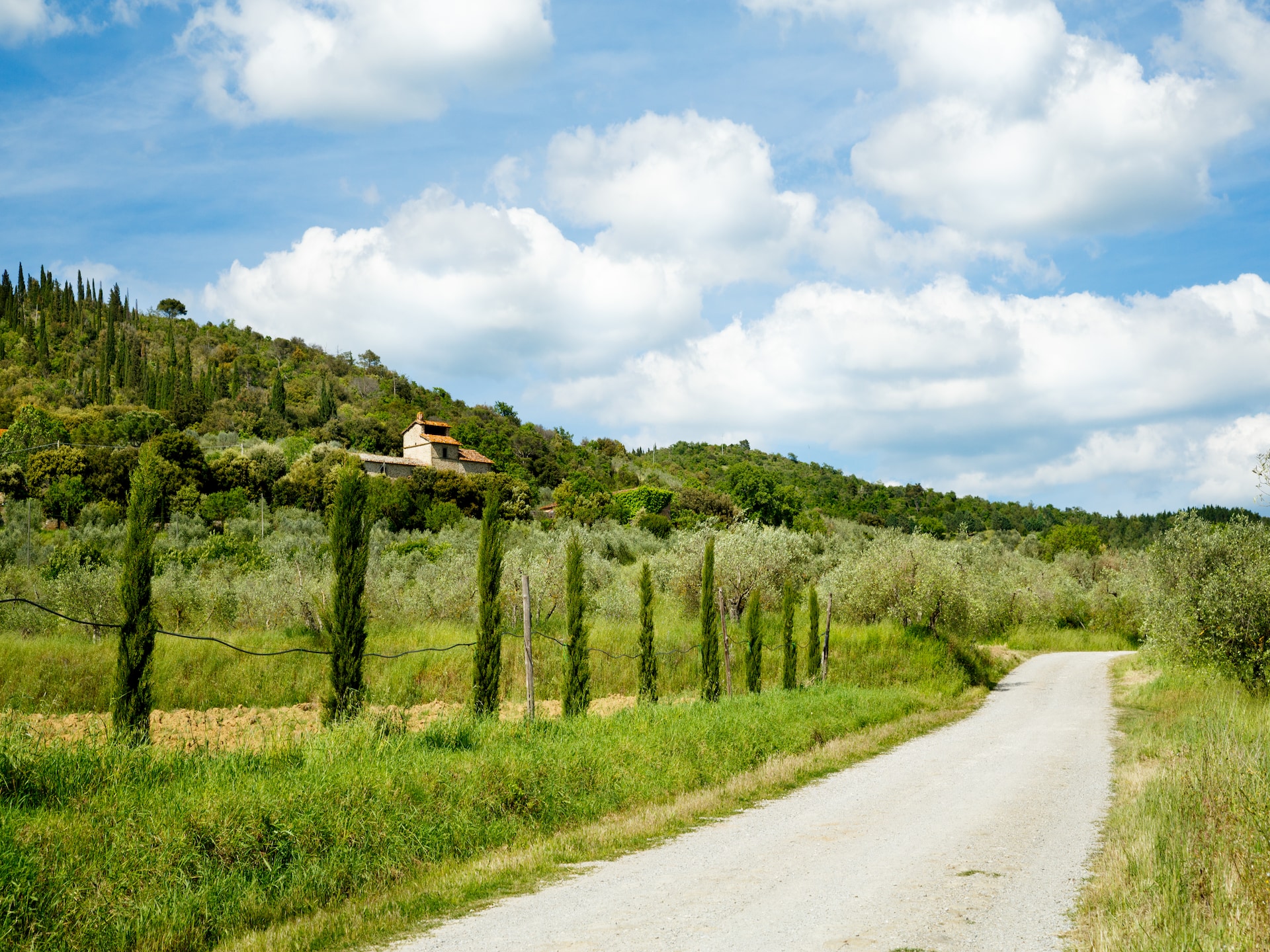 Authentiek vakantiehuis Bellosguardo in Cortona met meerzicht - foto 38