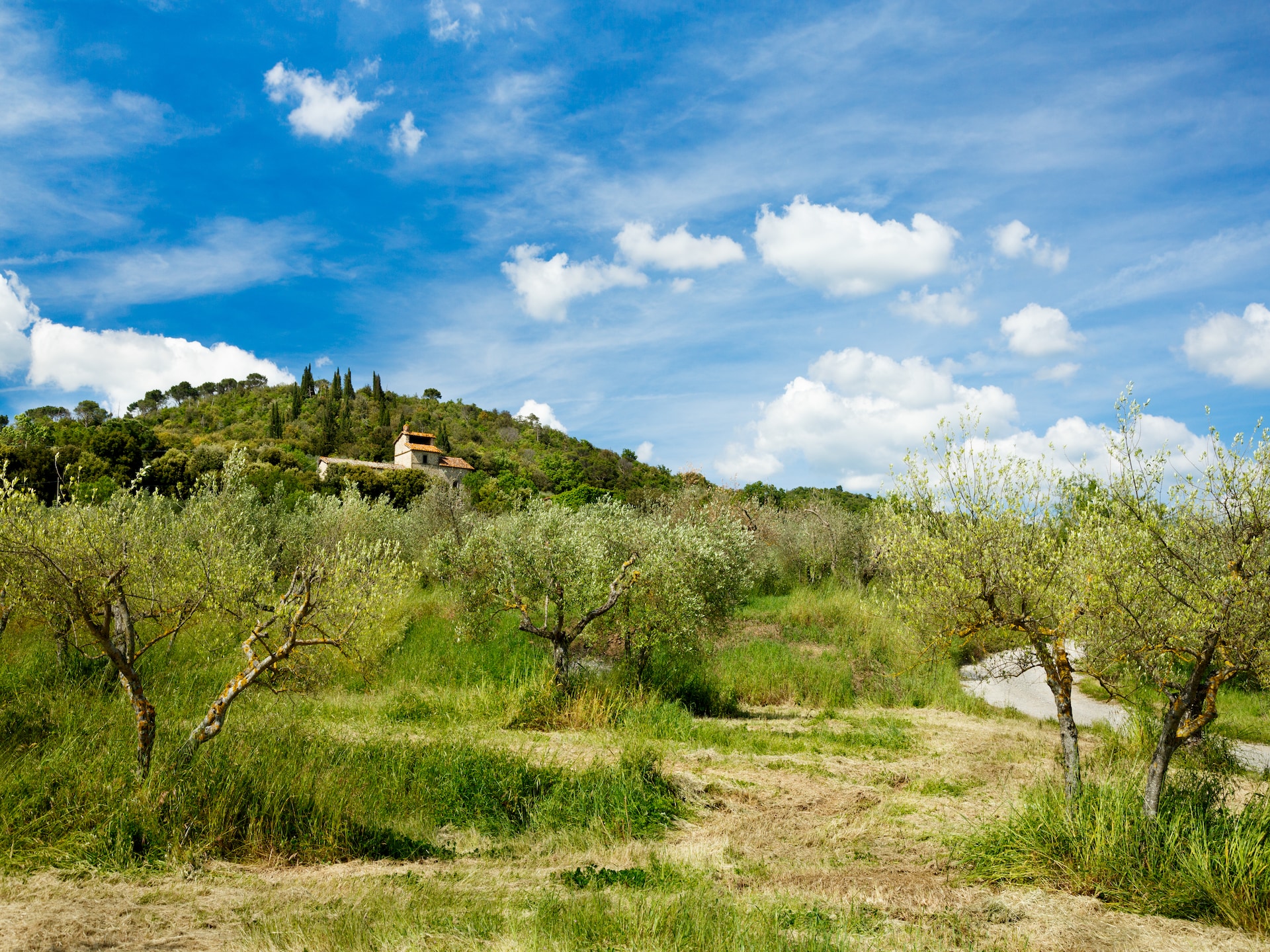 Authentiek vakantiehuis Bellosguardo in Cortona met meerzicht - foto 39