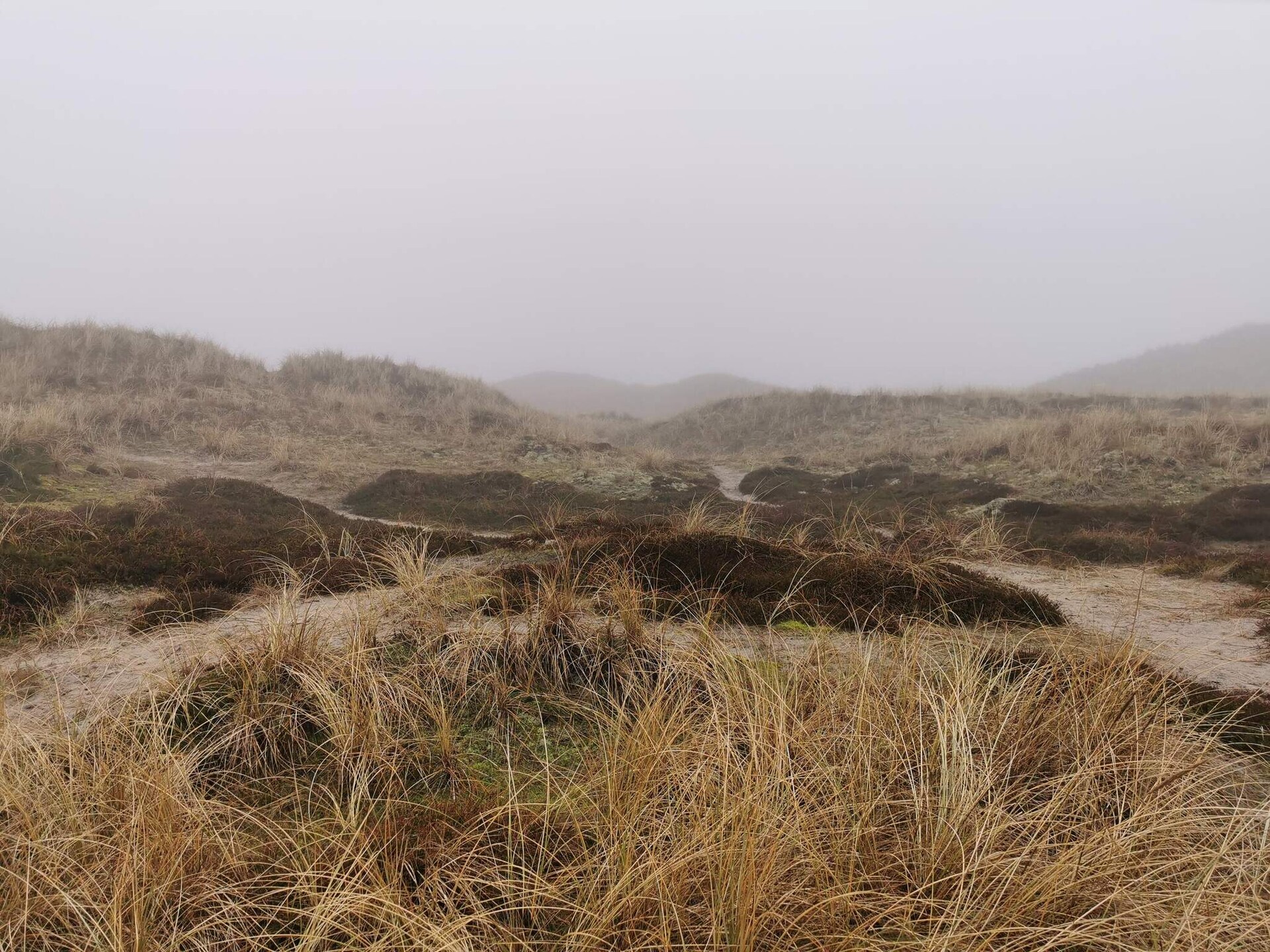 Vrijstaand vakantiehuis in Ringkøbing met uitzicht over de weilanden - foto 9