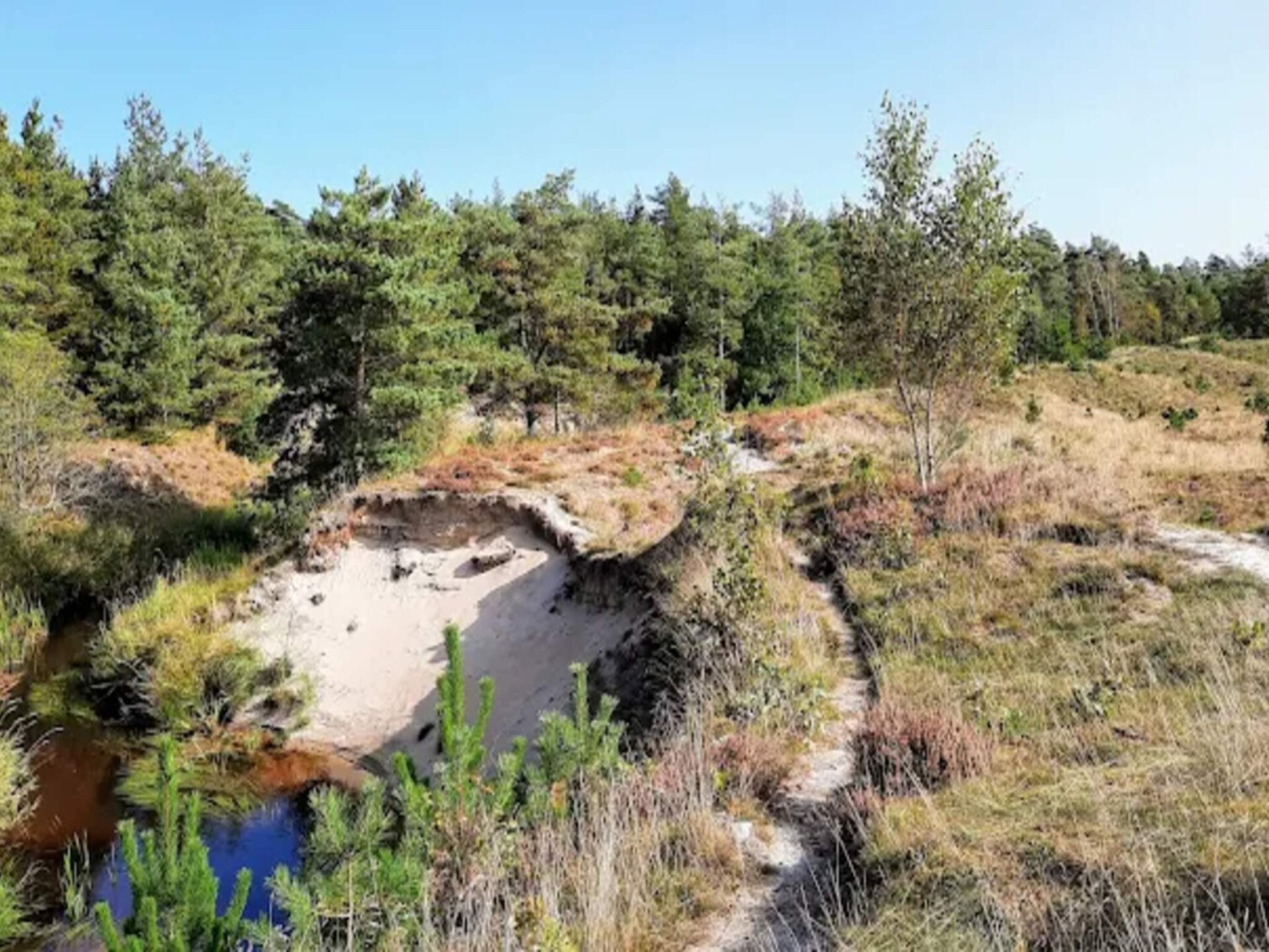 Knus vakantiehuis in Ålbæk, 300m van strand en duinen - foto 5