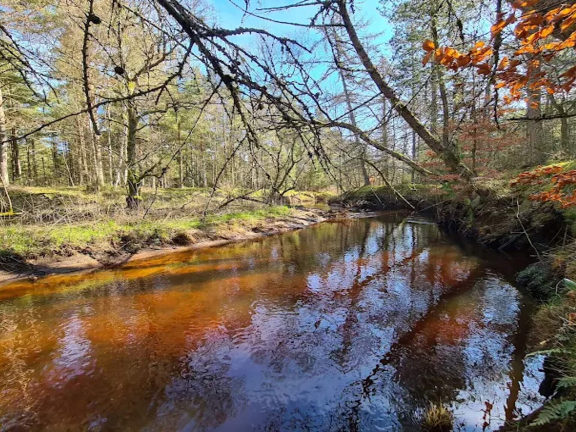 Knus vakantiehuis in Ålbæk, 300m van strand en duinen - foto 17