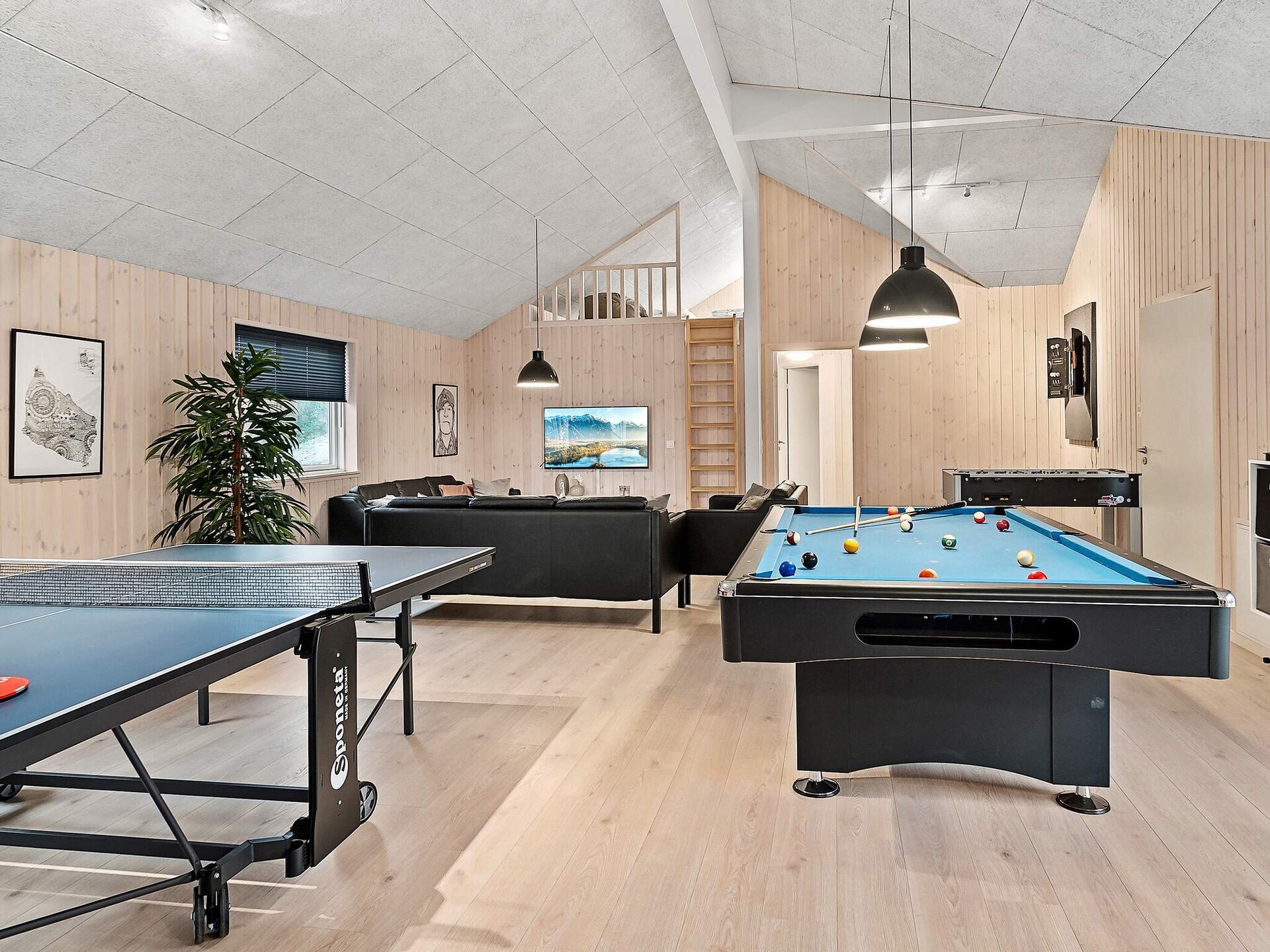 Groots vakantiehuis voor 24 personen met zwembad en sauna nabij Kappeln - foto 8
