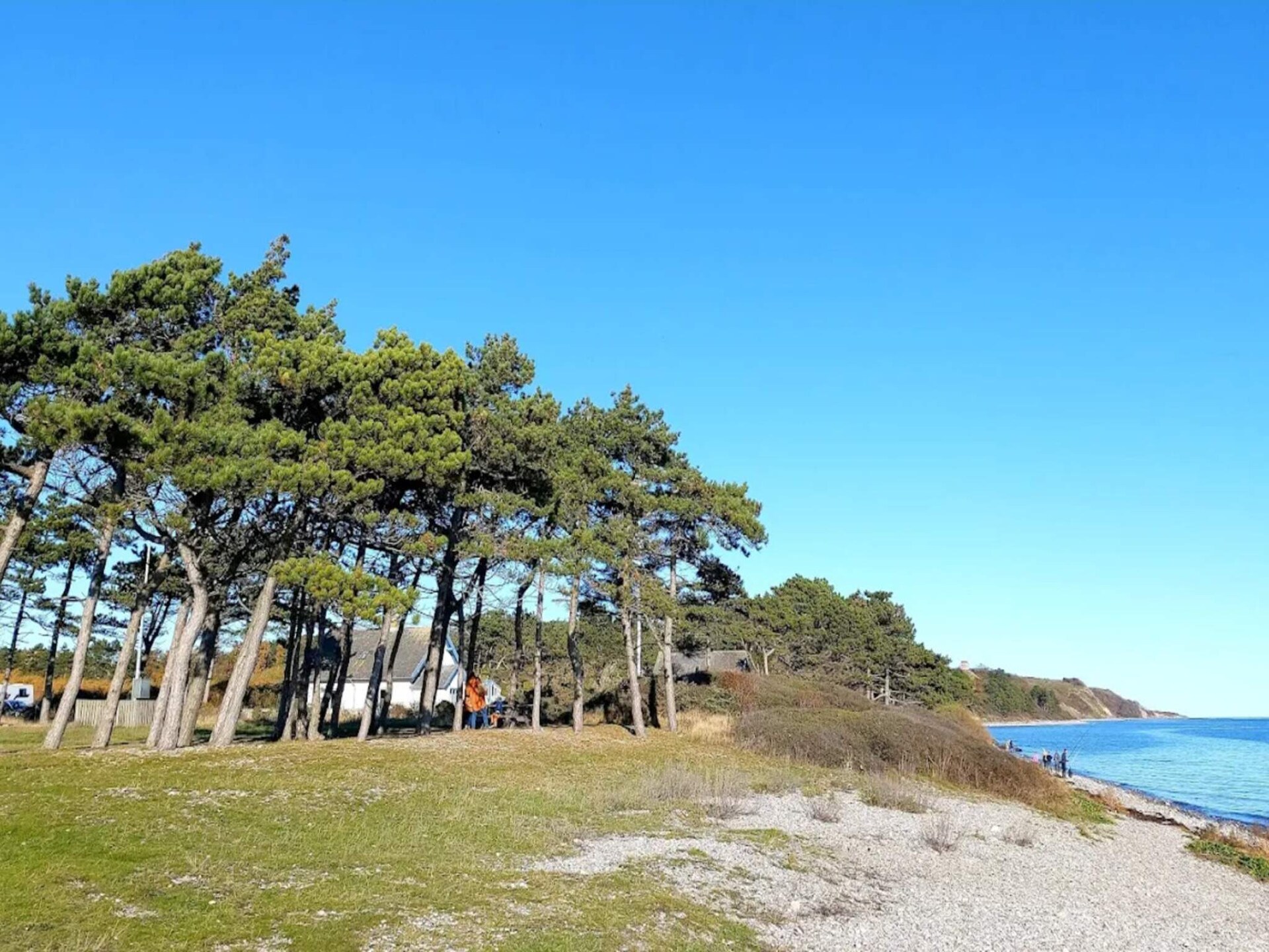 Lichtrijk vakantiehuis voor 6 in Mols Natuurpark, Knebel - foto 6