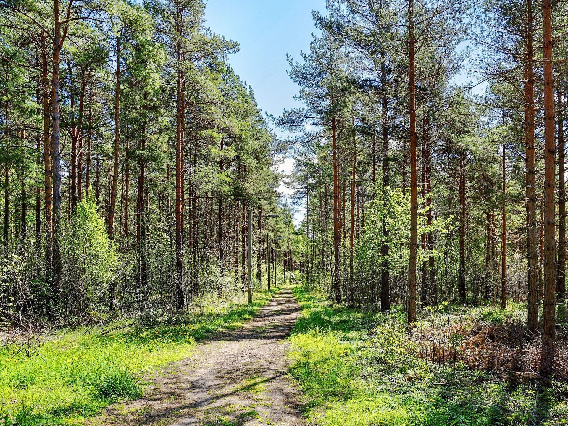Sfeervolle stuga aan de golfbaan bij Hemse, Gotland – 4 personen - foto 26