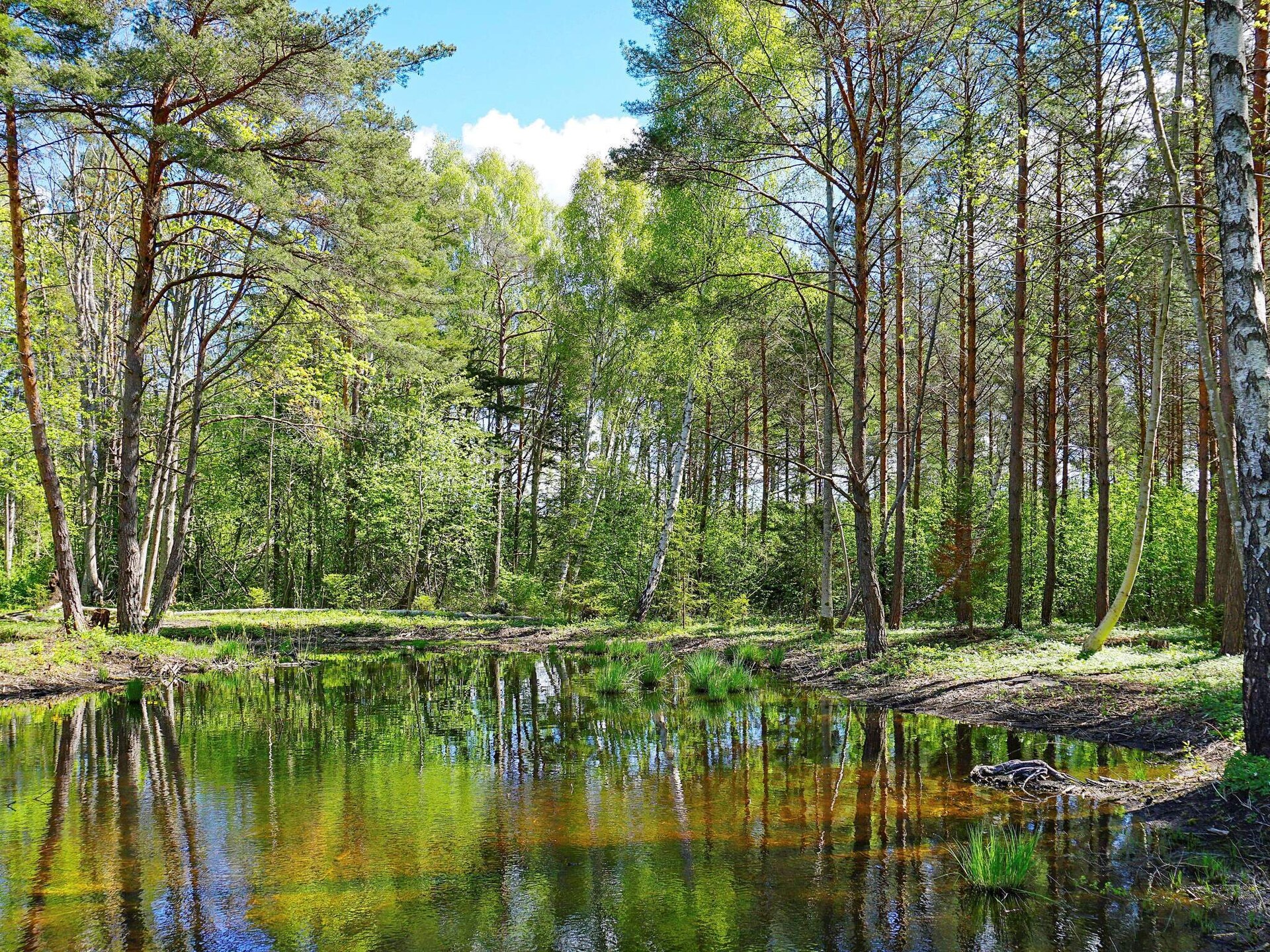 Sfeervolle stuga aan de golfbaan bij Hemse, Gotland – 4 personen - foto 29