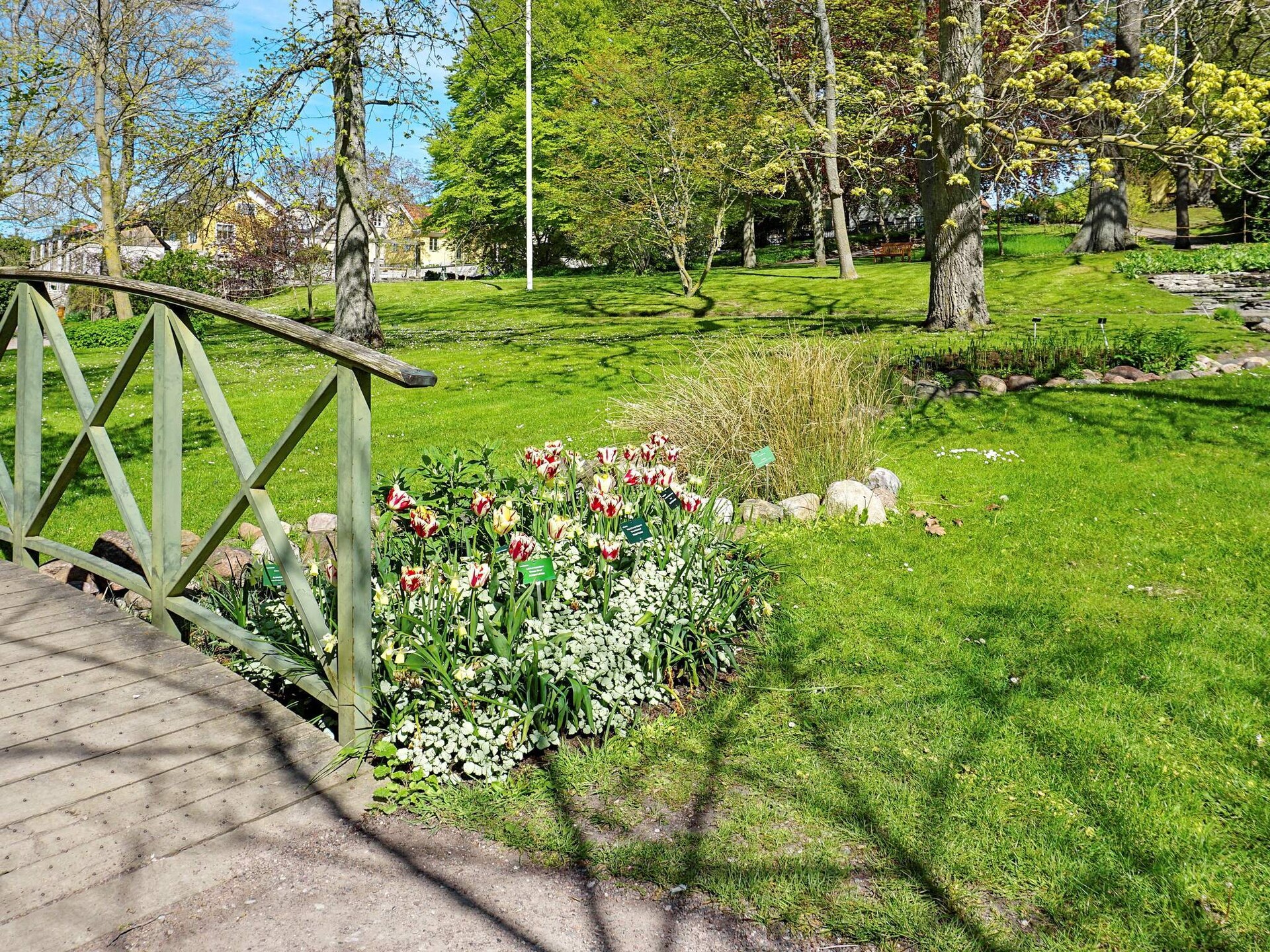 06463 - foto 20