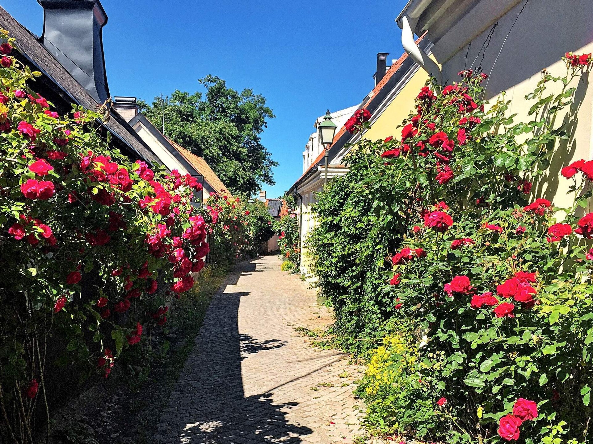 06463 - foto 22