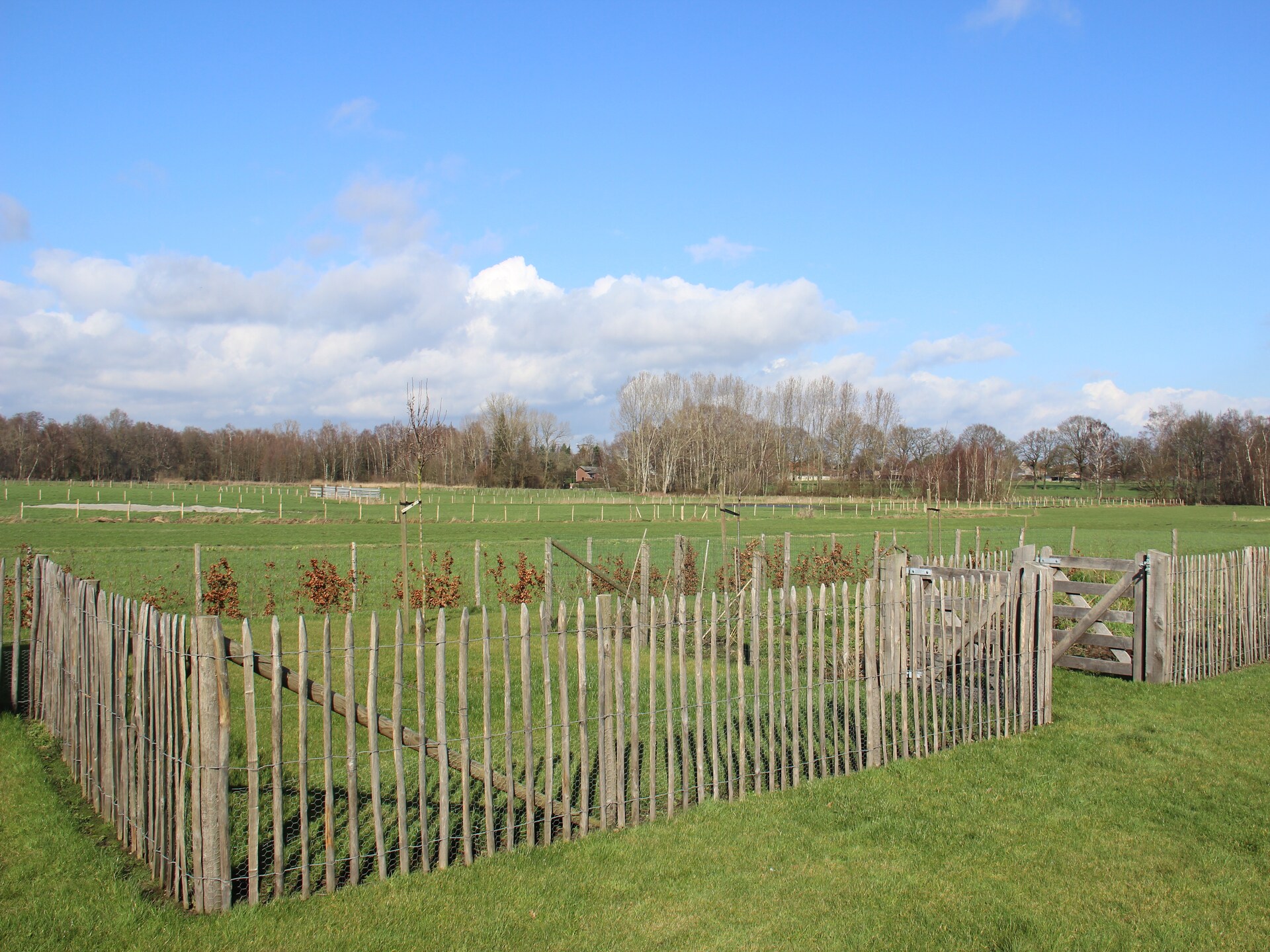 Landhuis Broville: ruim vakantiehuis met tuin in het Limburgse Peer - foto 26