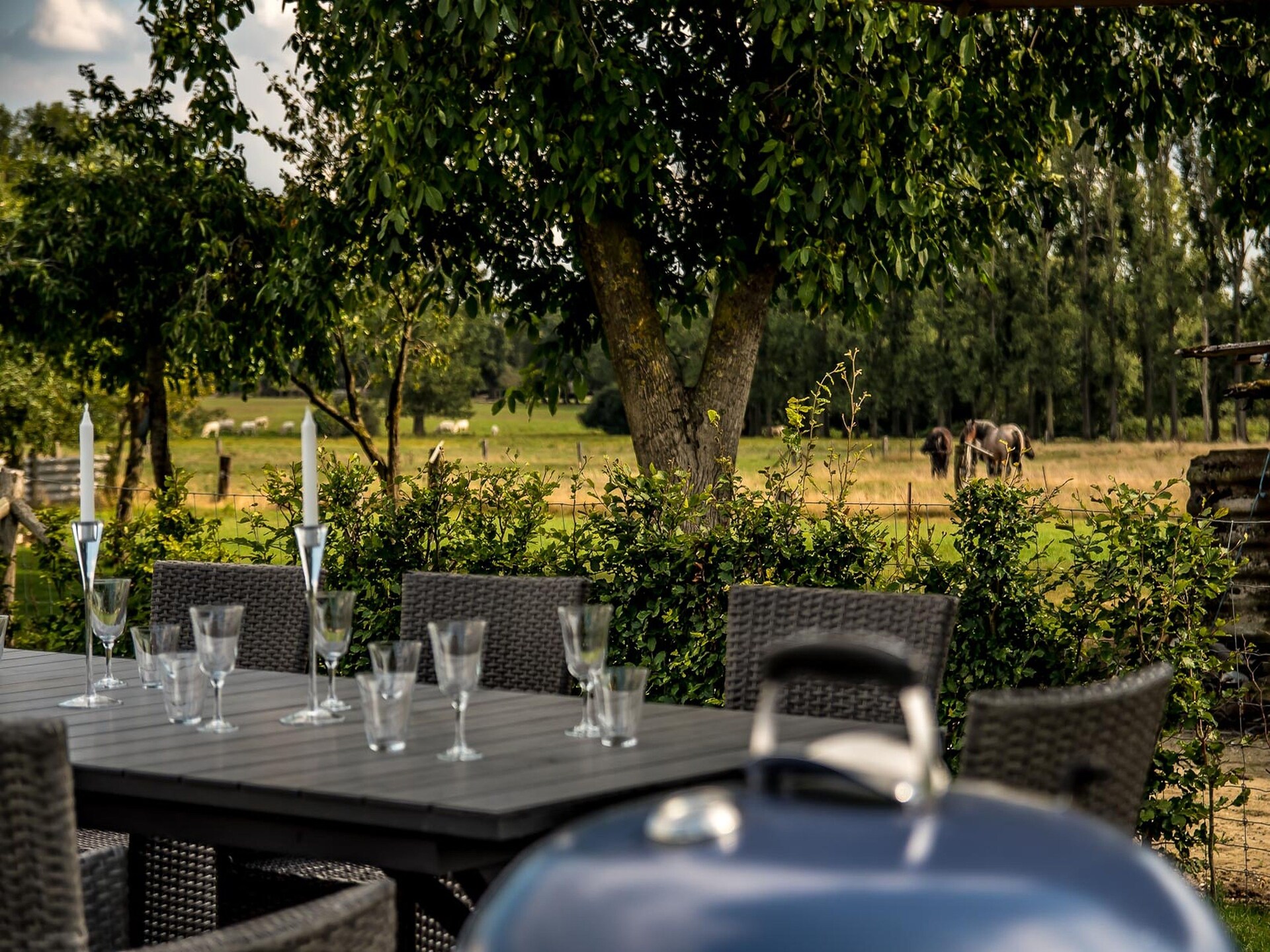 Landhuis Broville: ruim vakantiehuis met tuin in het Limburgse Peer - foto 27