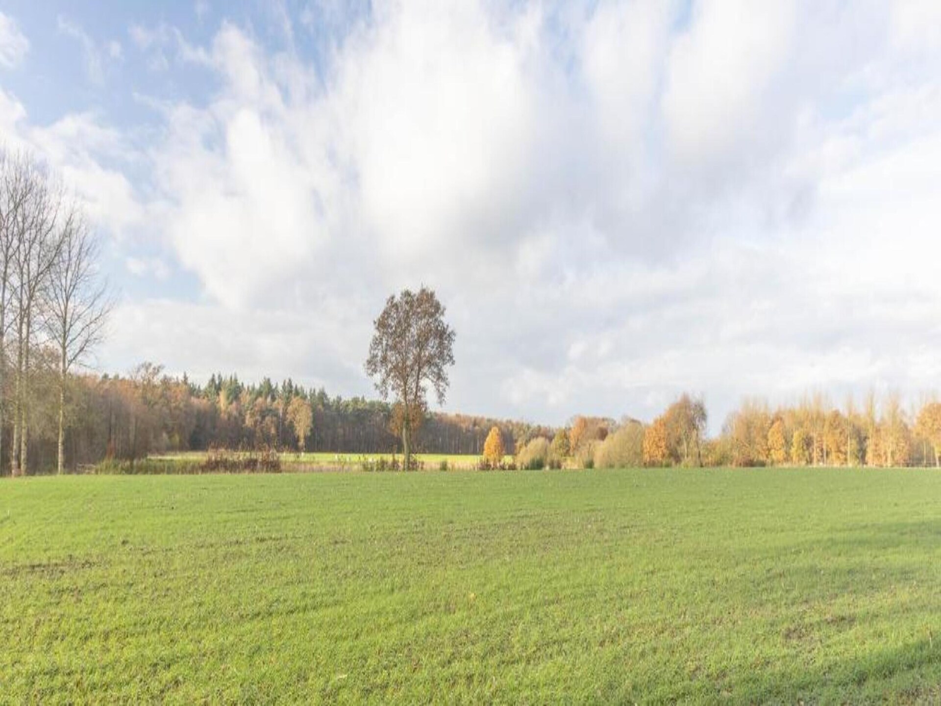 Landhuis Broville: ruim vakantiehuis met tuin in het Limburgse Peer - foto 40