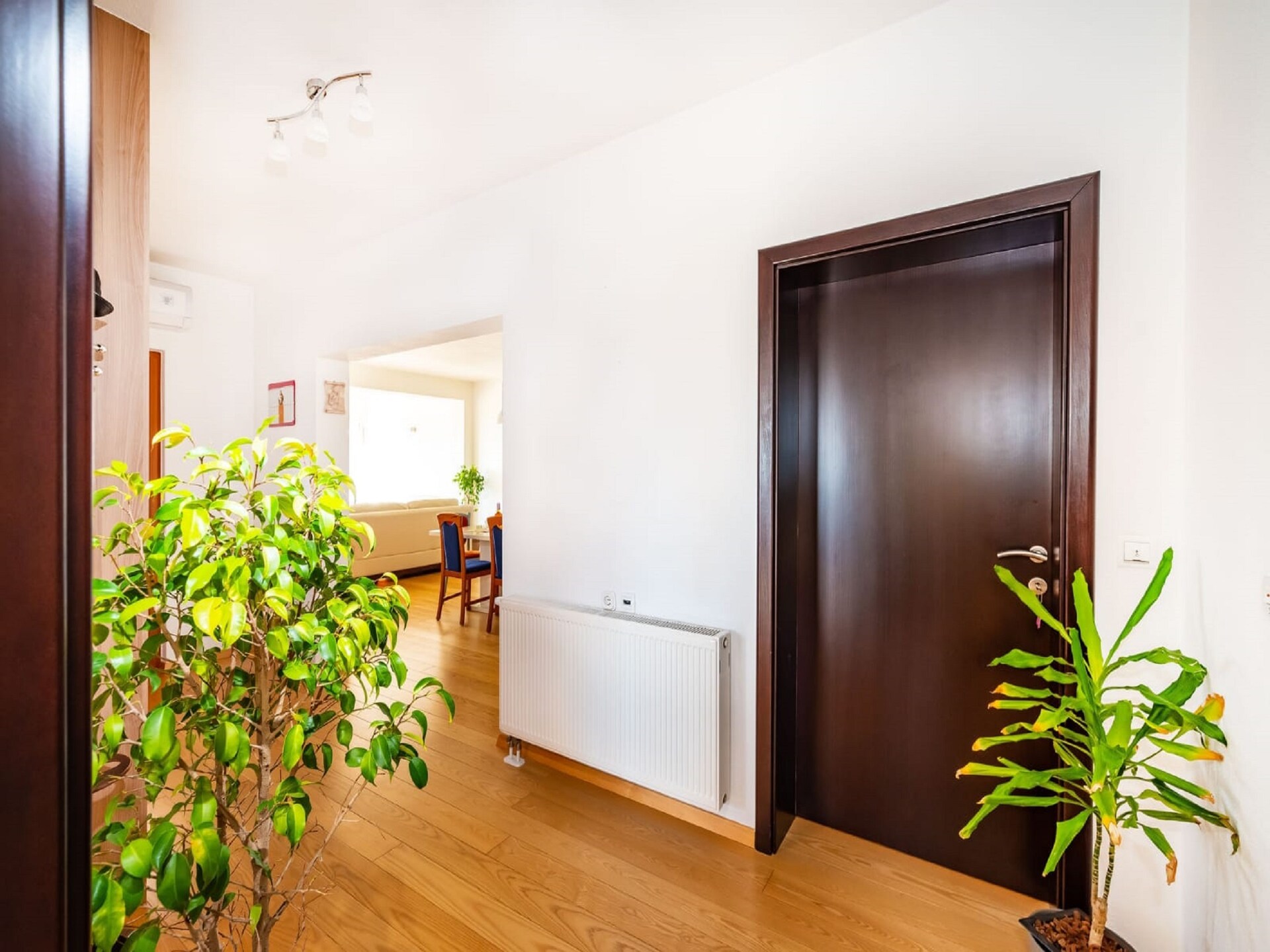 Ruim appartement met tuin in Radovin, 2 km van strand - foto 16