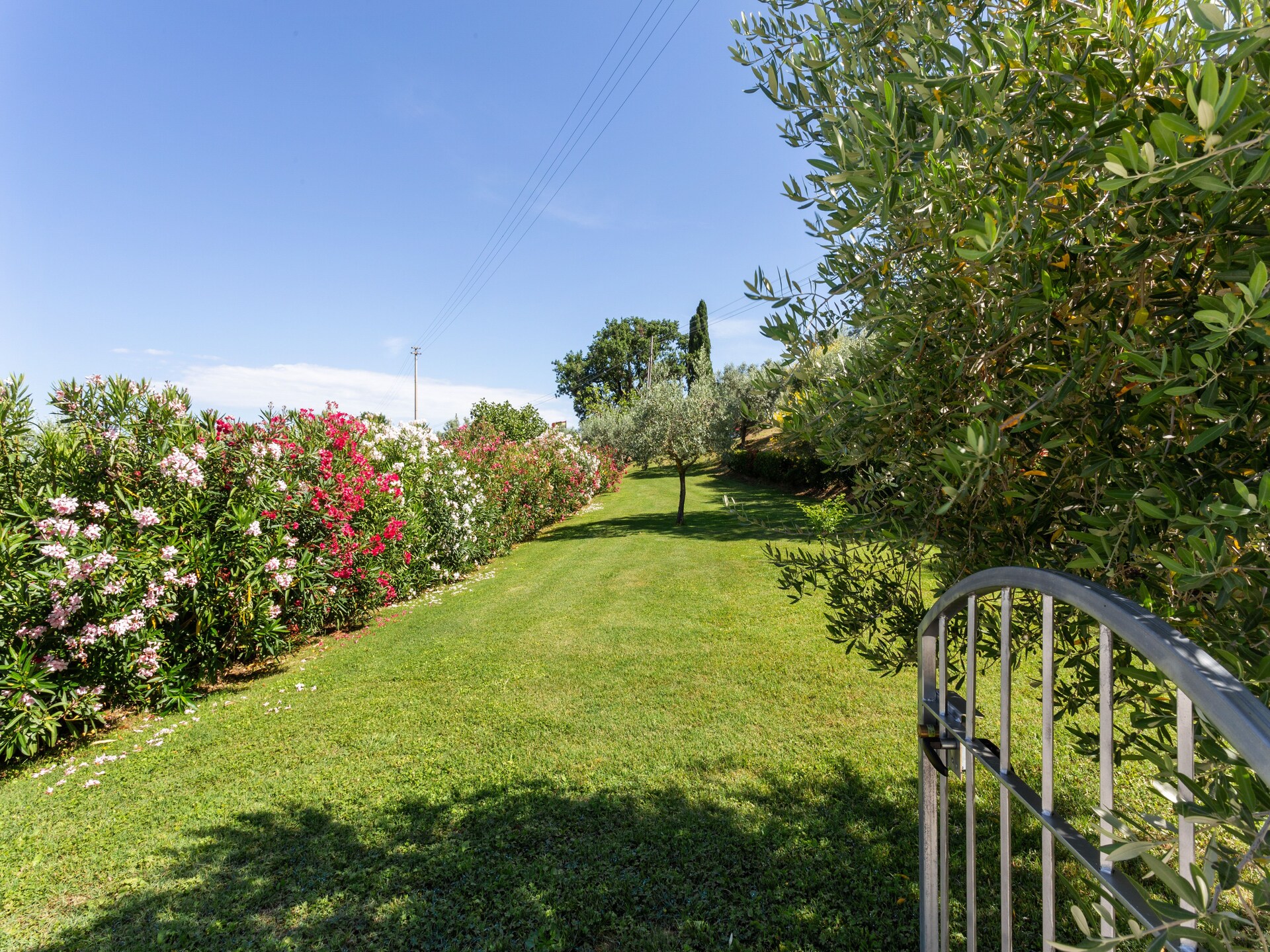 Knus vrijstaand vakantiehuis bij Volterra met gemeenschappelijk zwembad - foto 29