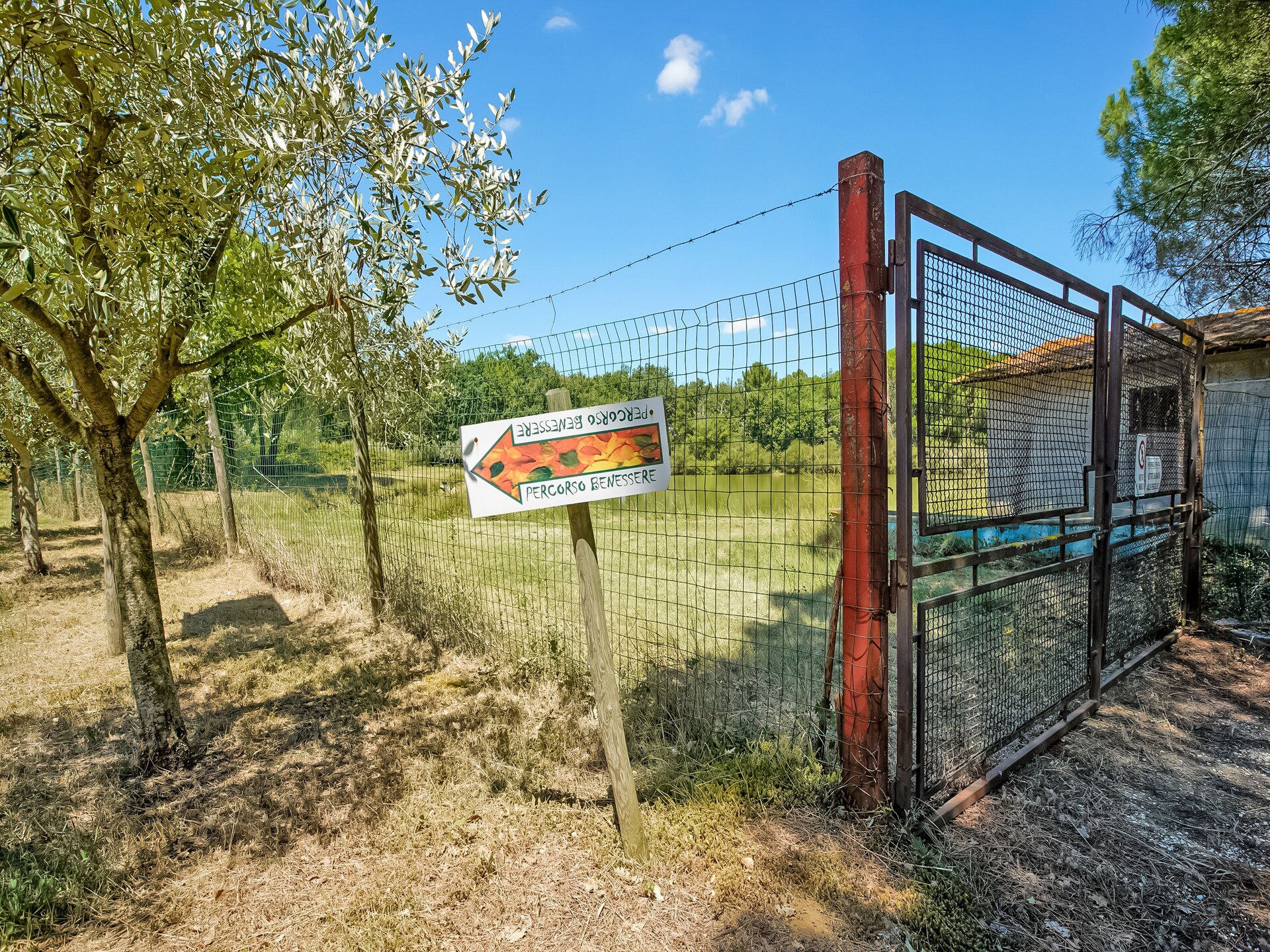 Sfeervol vakantiehuis Appartamento il Gufo in Castiglione del Lago - foto 38