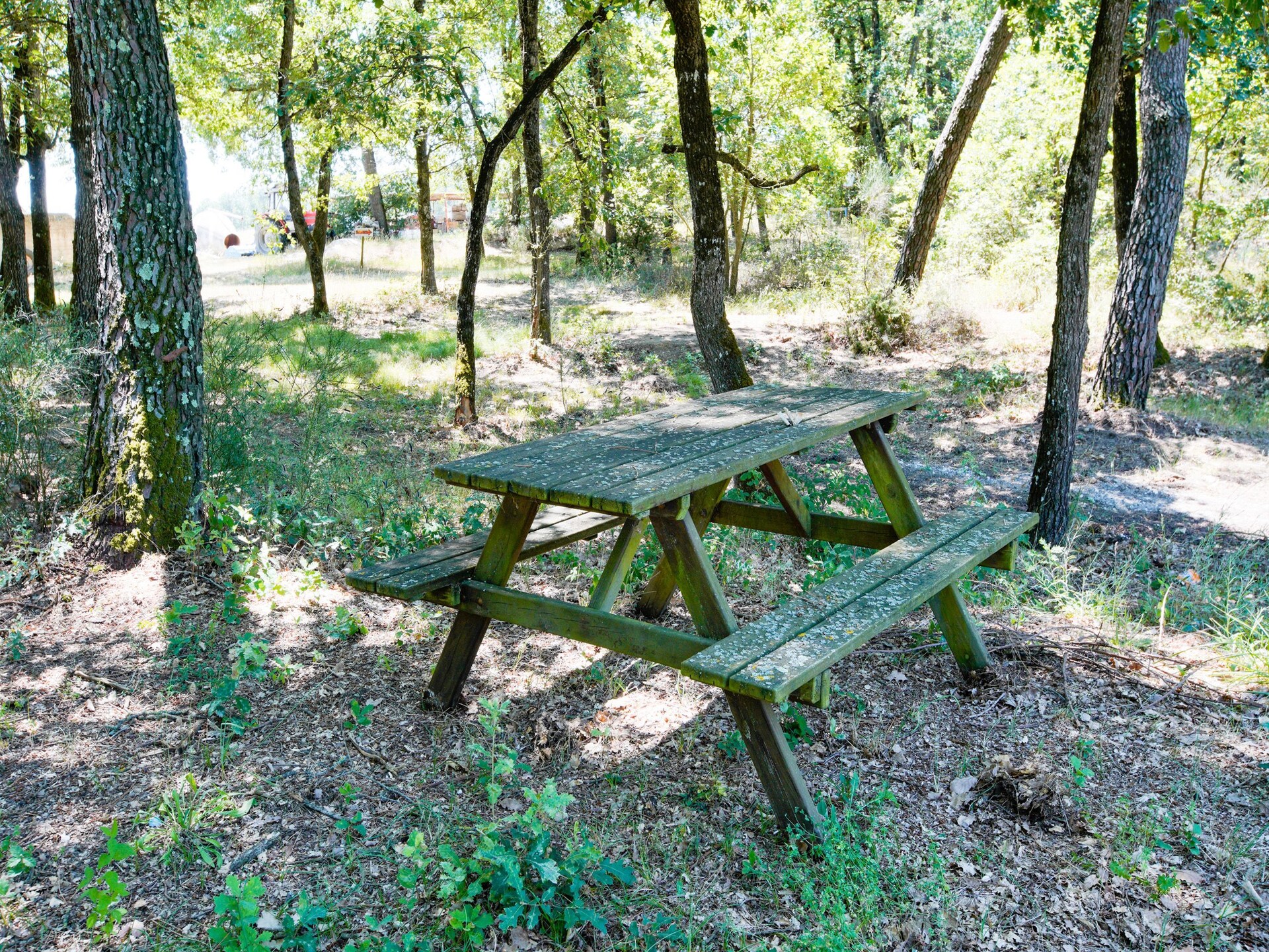 Sfeervol vakantiehuis in Castiglione del Lago aan het Trasimenomeer - foto 21