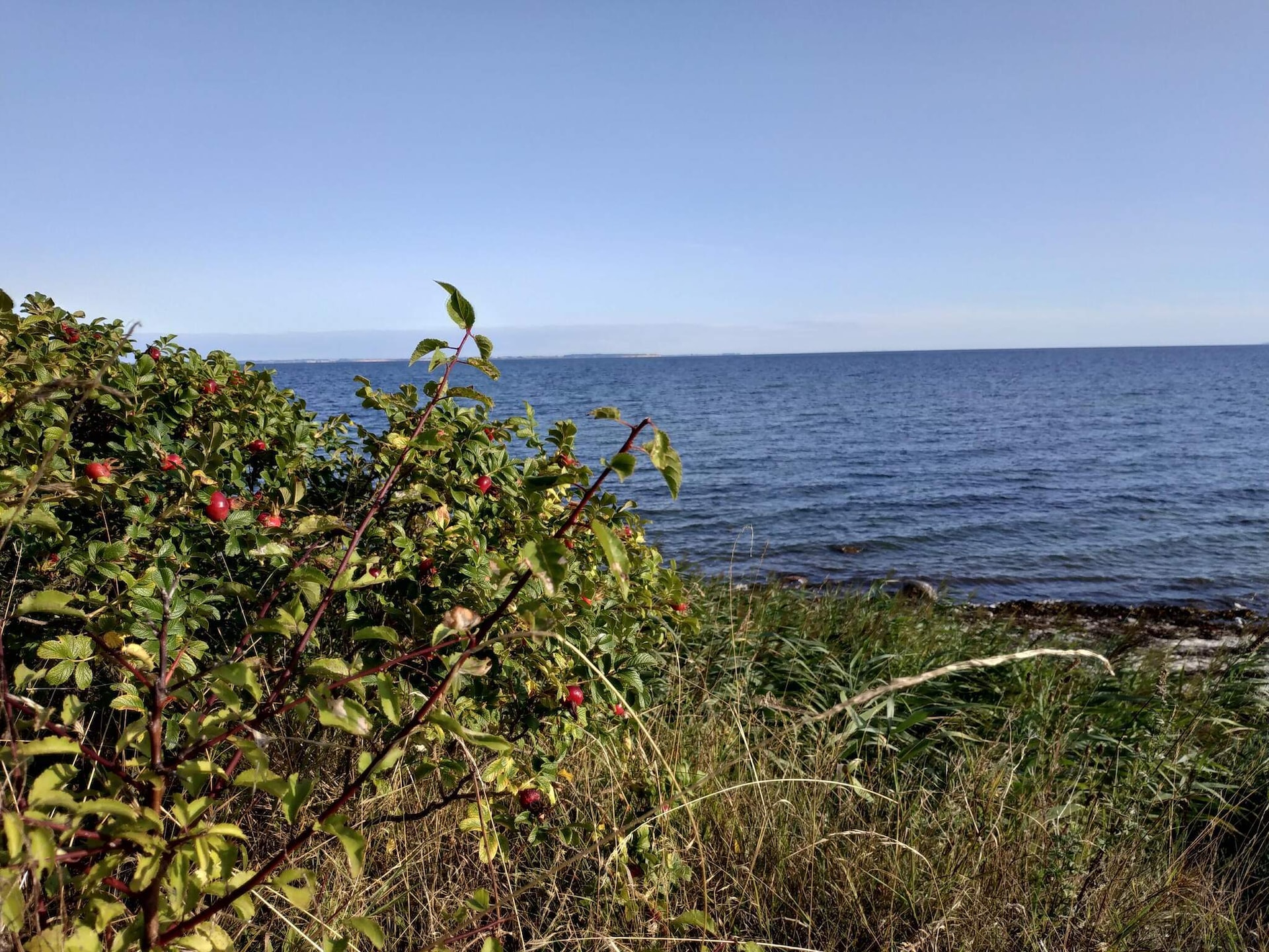 6-persoons vakantiehuis aan zee in Nordborg - foto 17